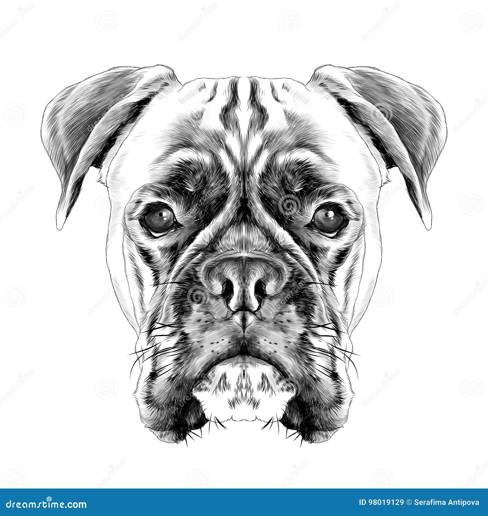 Aggregate more than 119 dog drawing sketch latest