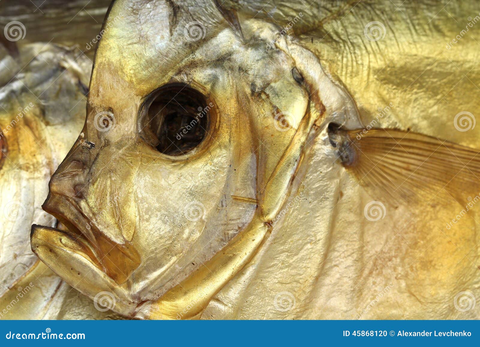 Head Dried Fish RoyaltyFree Stock Photography