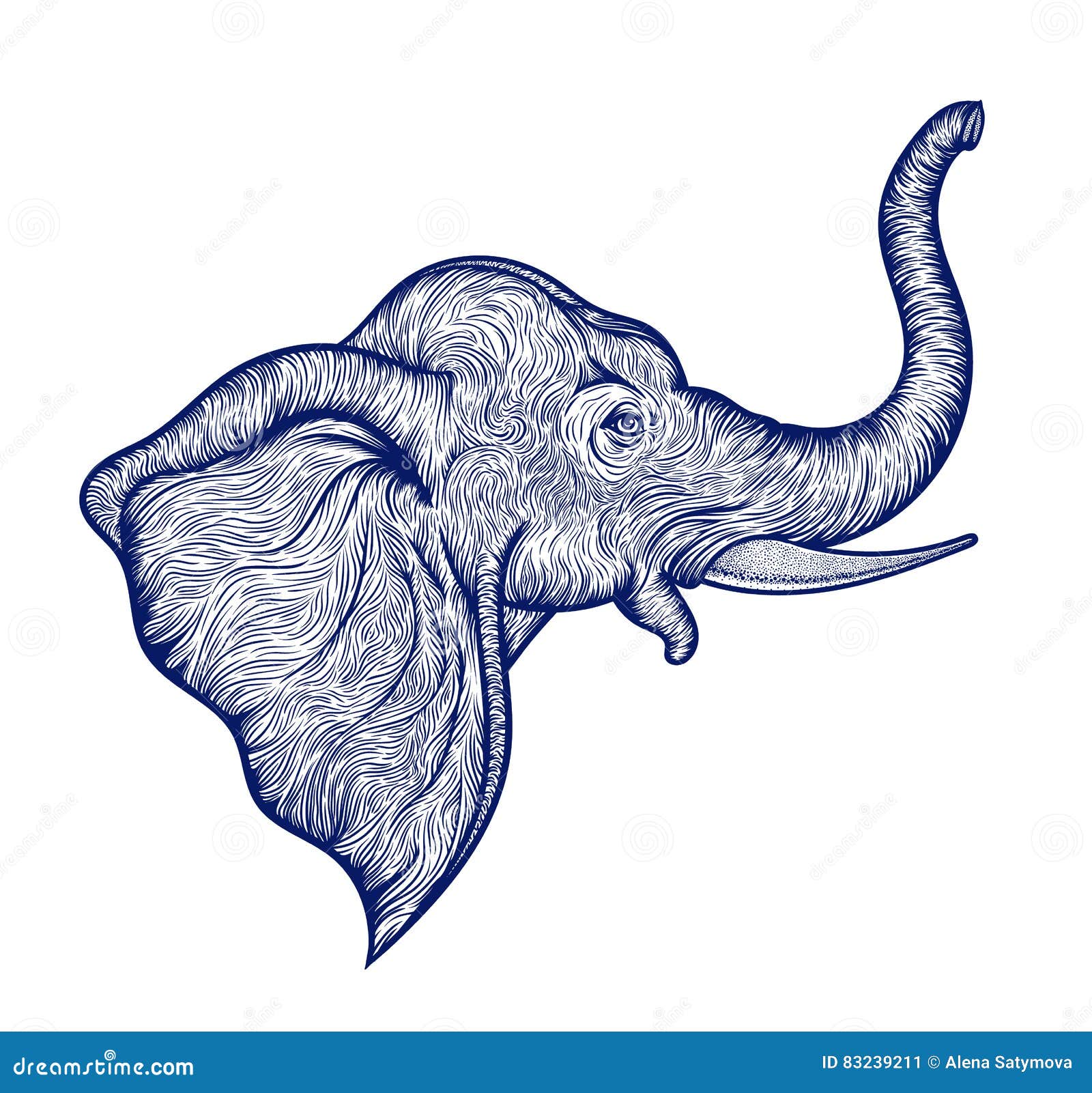 Line Drawing Elephant Head : Boho indian girl in feather wreath hand drawn style