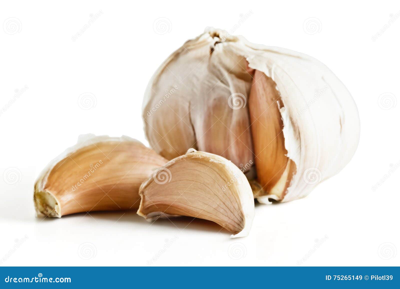 Head of garlic and cloves stock image. Image of background 75265149