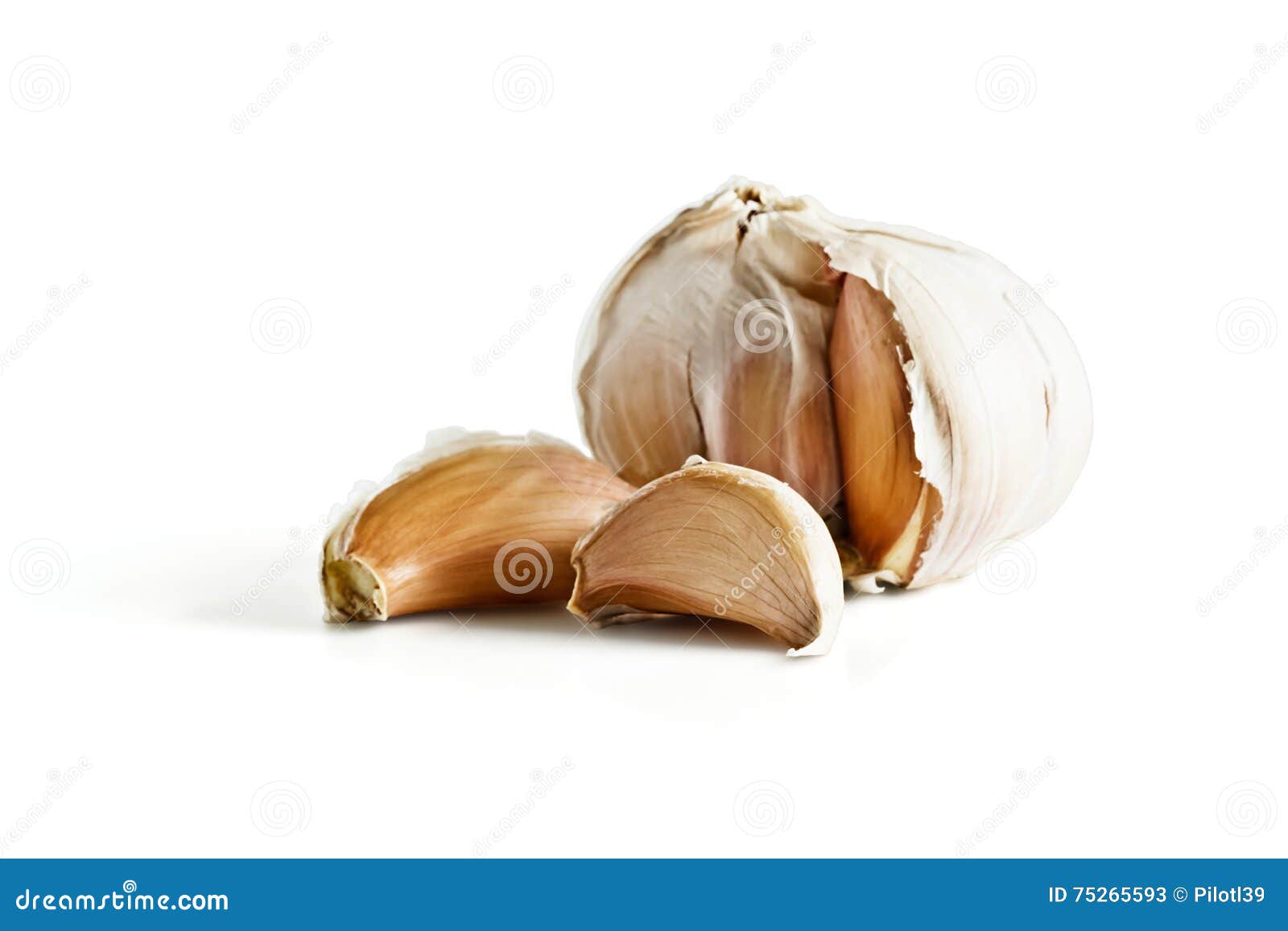 Head of garlic and cloves stock image. Image of flavor 75265593