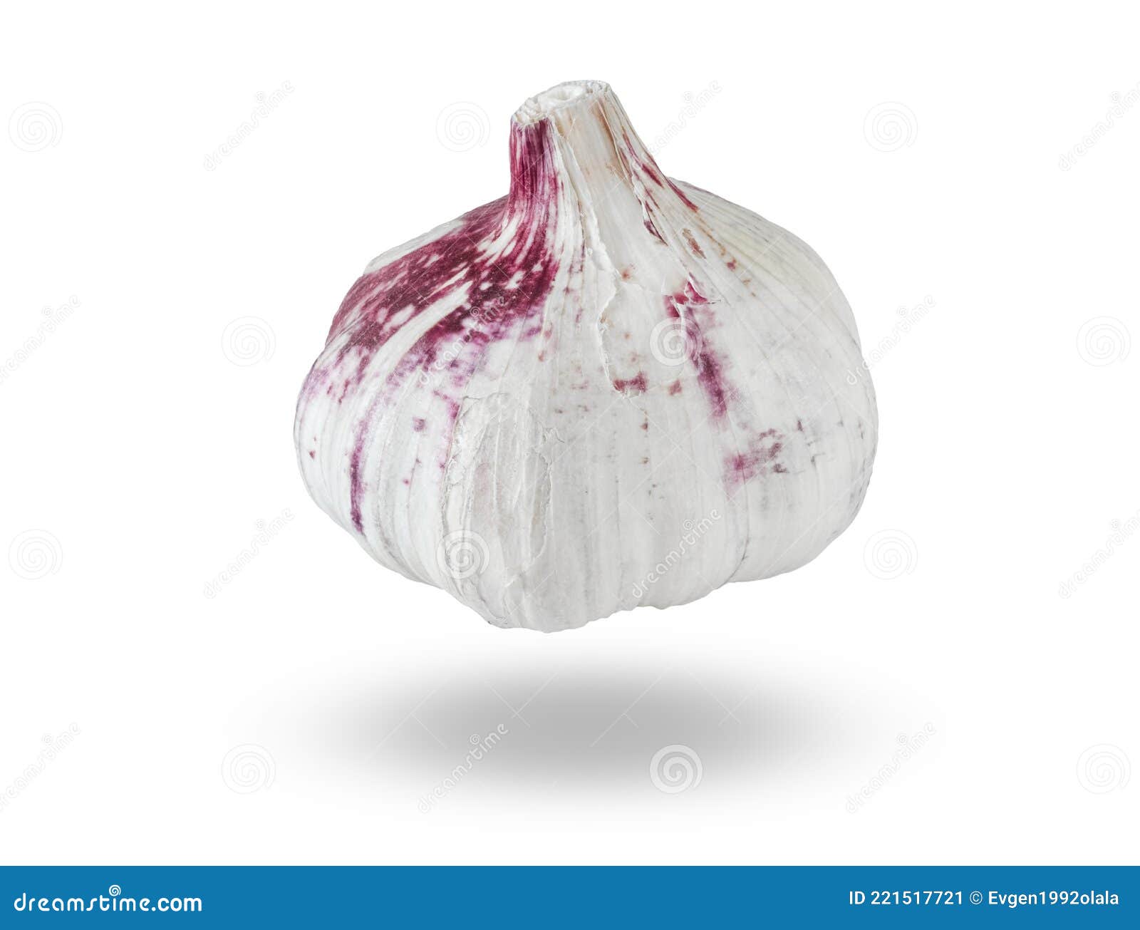 Head of Garlic on a White Background. Stock Image Image of garlic