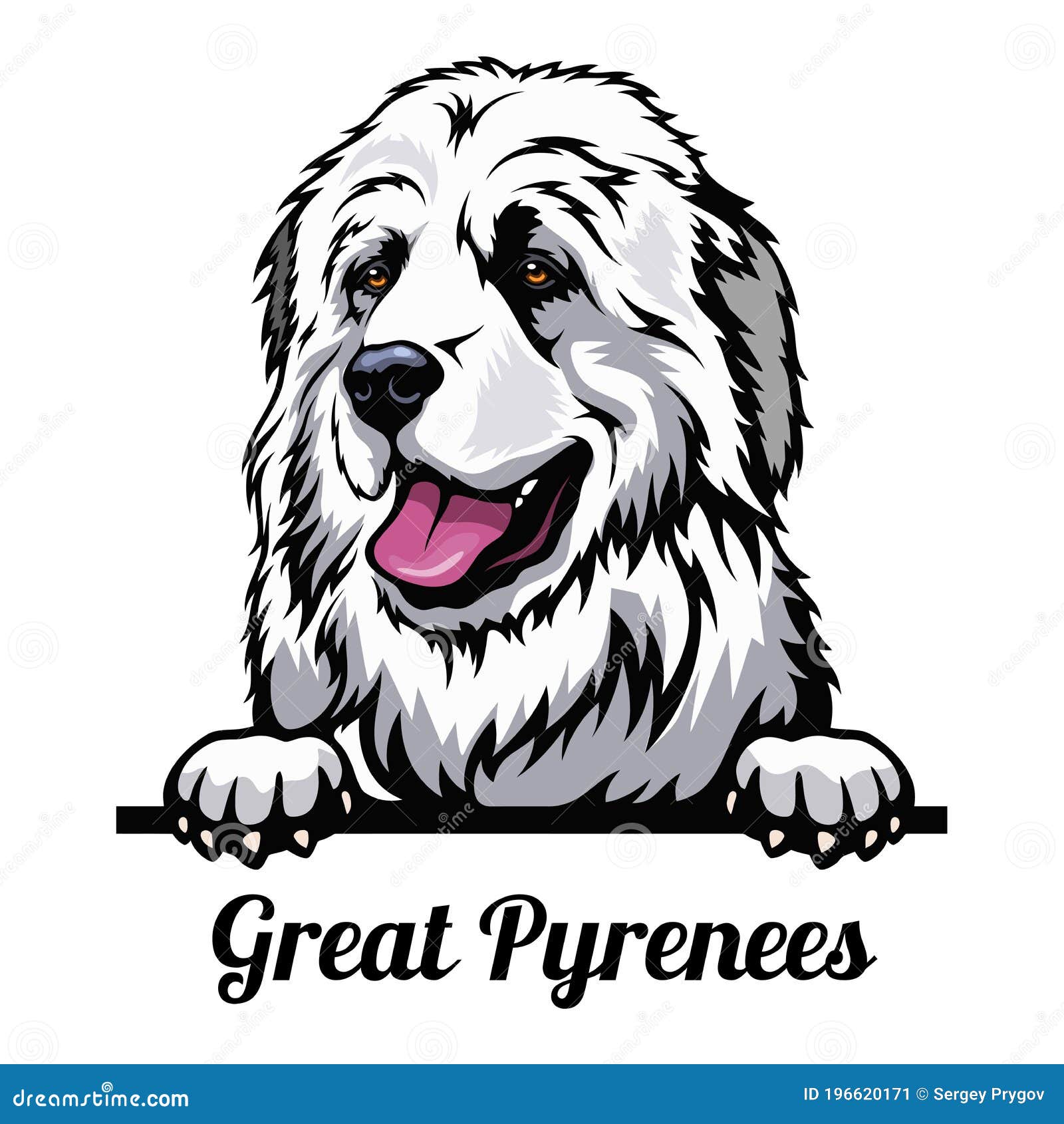 Great Pyrenees Peeking Stock Illustrations 3 Great Pyrenees Peeking great-pyrenees-peeking-stock-illustrations-3-great-pyrenees-peeking