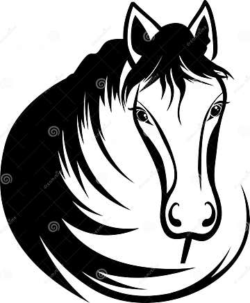 Head of horse stock vector. Illustration of farm, line - 48134515