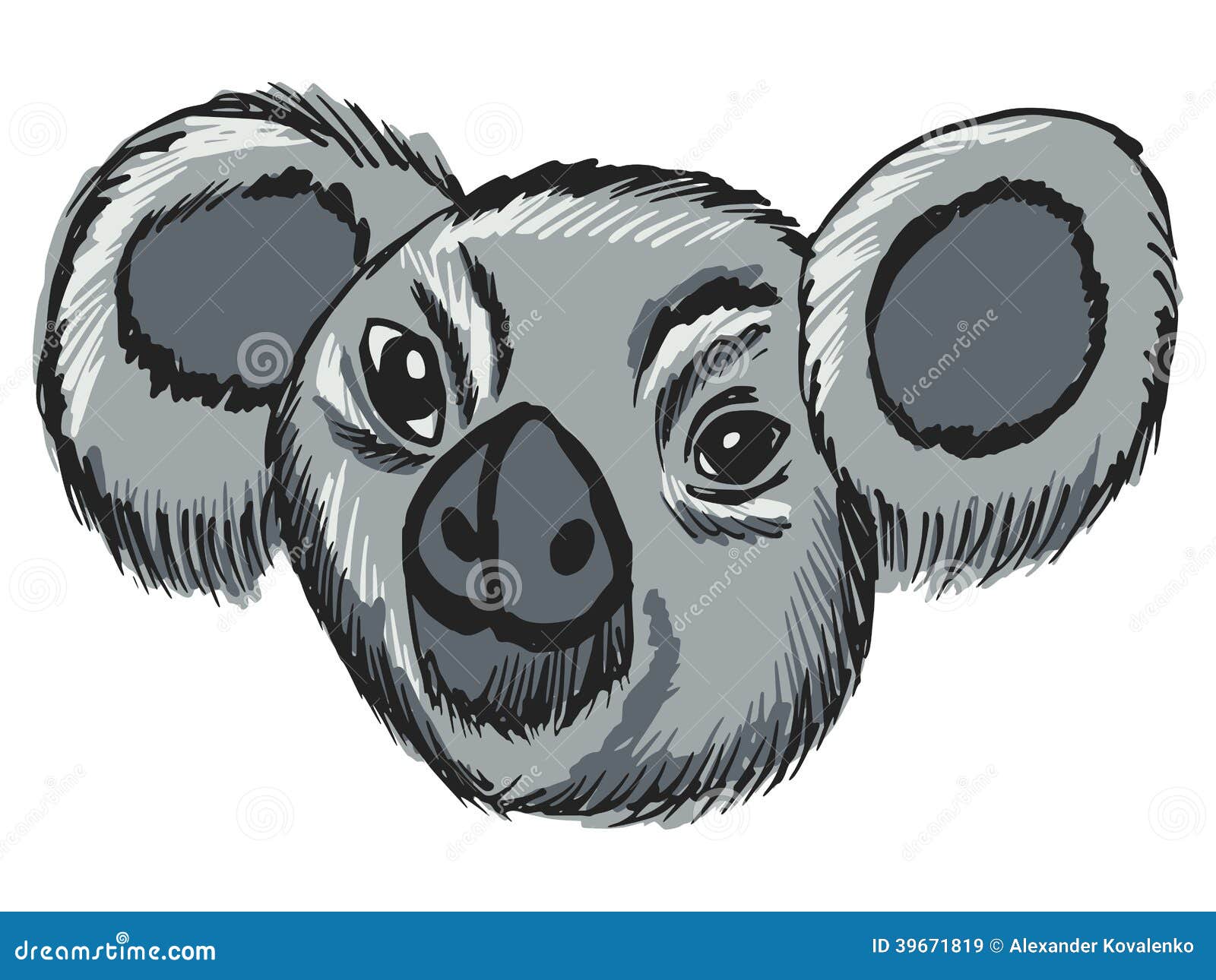 Head of koala stock vector. Illustration of cute, mammal 39671819
