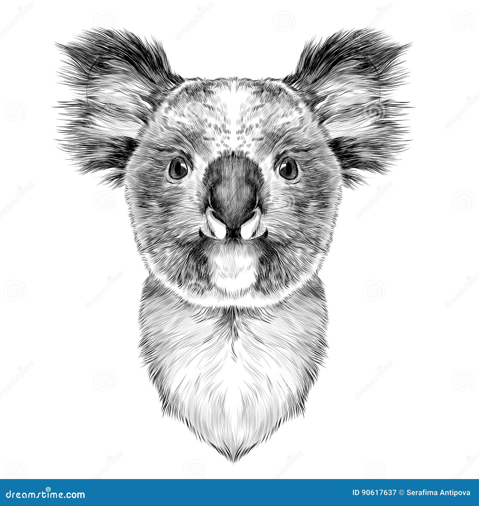 Head Koala stock vector. Illustration of beautiful, funny 90617637