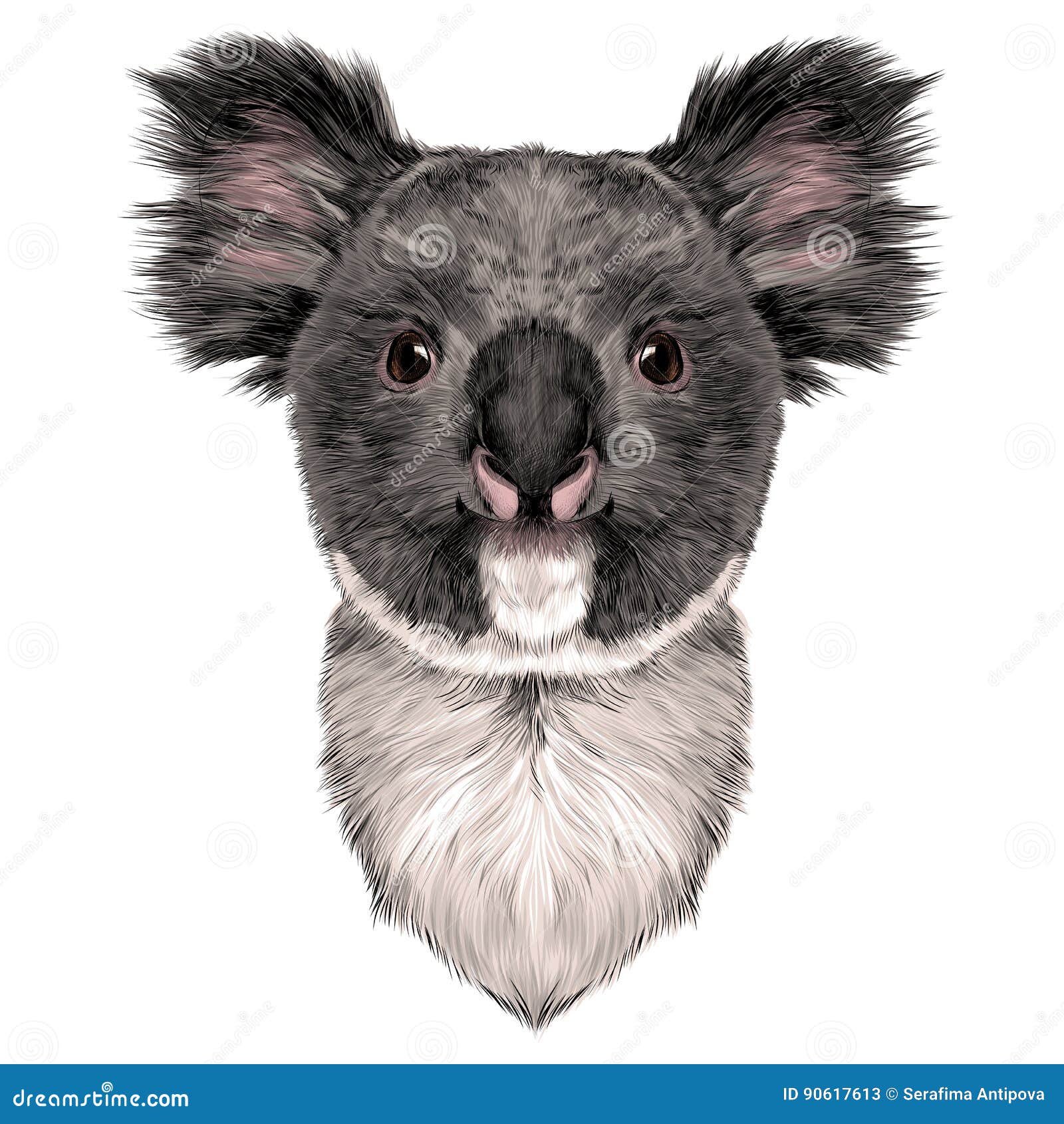 Head Koala stock vector. Illustration of color, brown 90617613