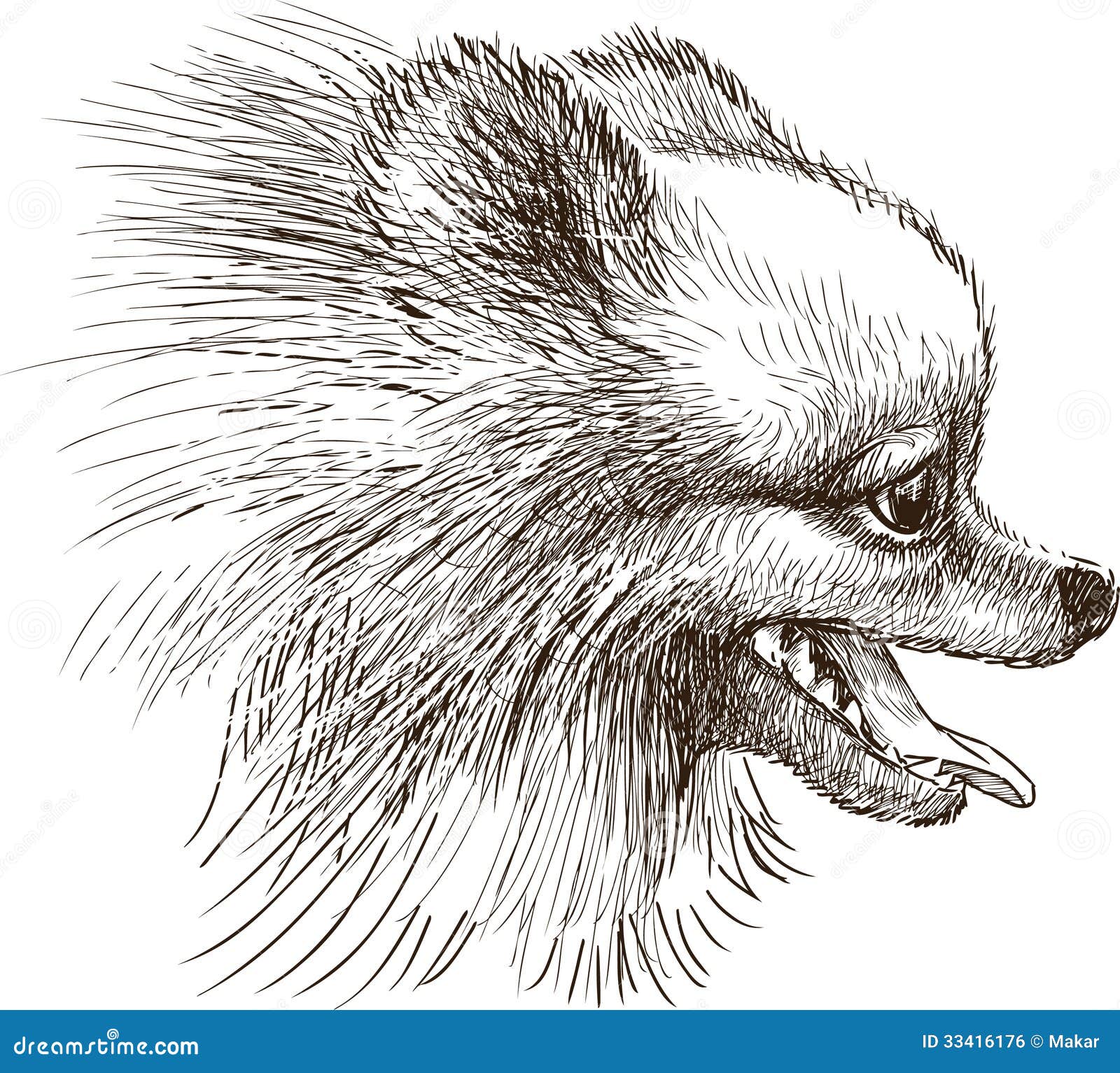 Head of lap dog stock vector. Illustration of nose, mammal - 33416176