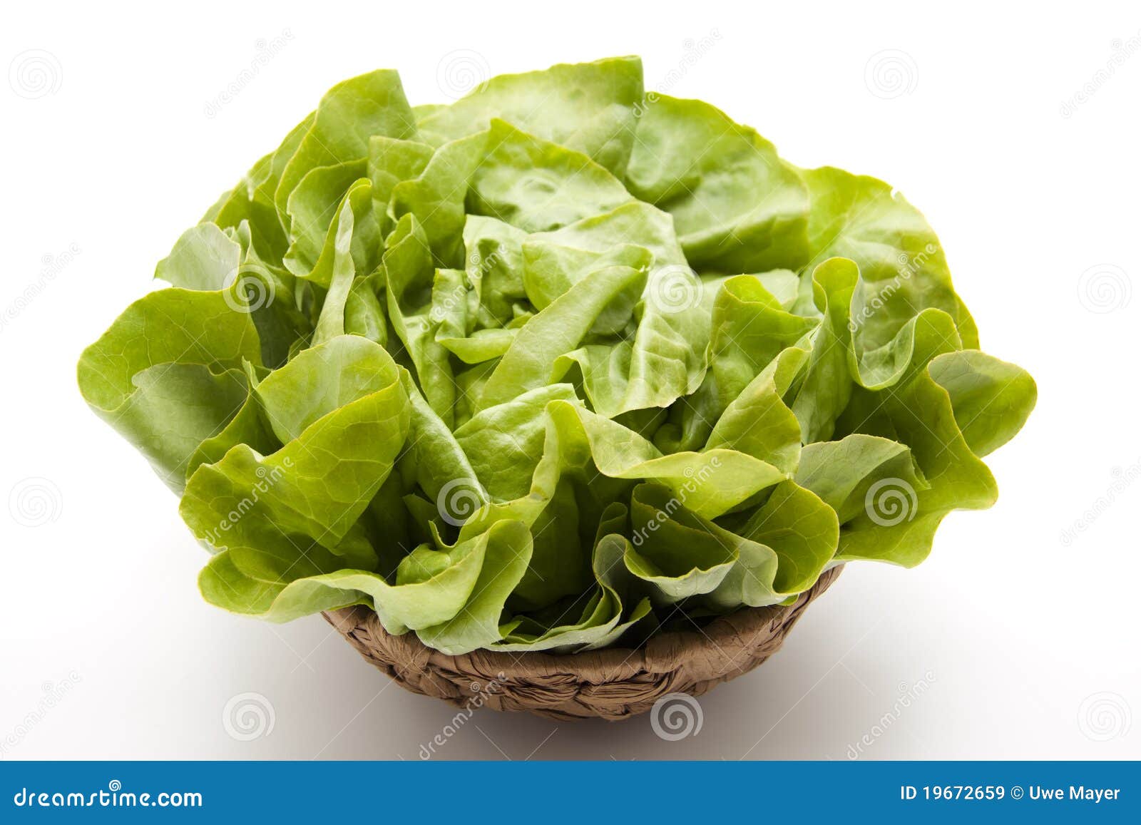 Head lettuce stock image. Image of leaf, vitamins, lettuce 19672659
