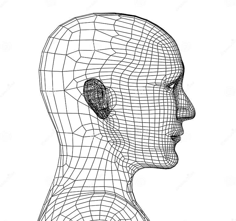Head of the Person from a 3d Grid Stock Illustration Illustration of