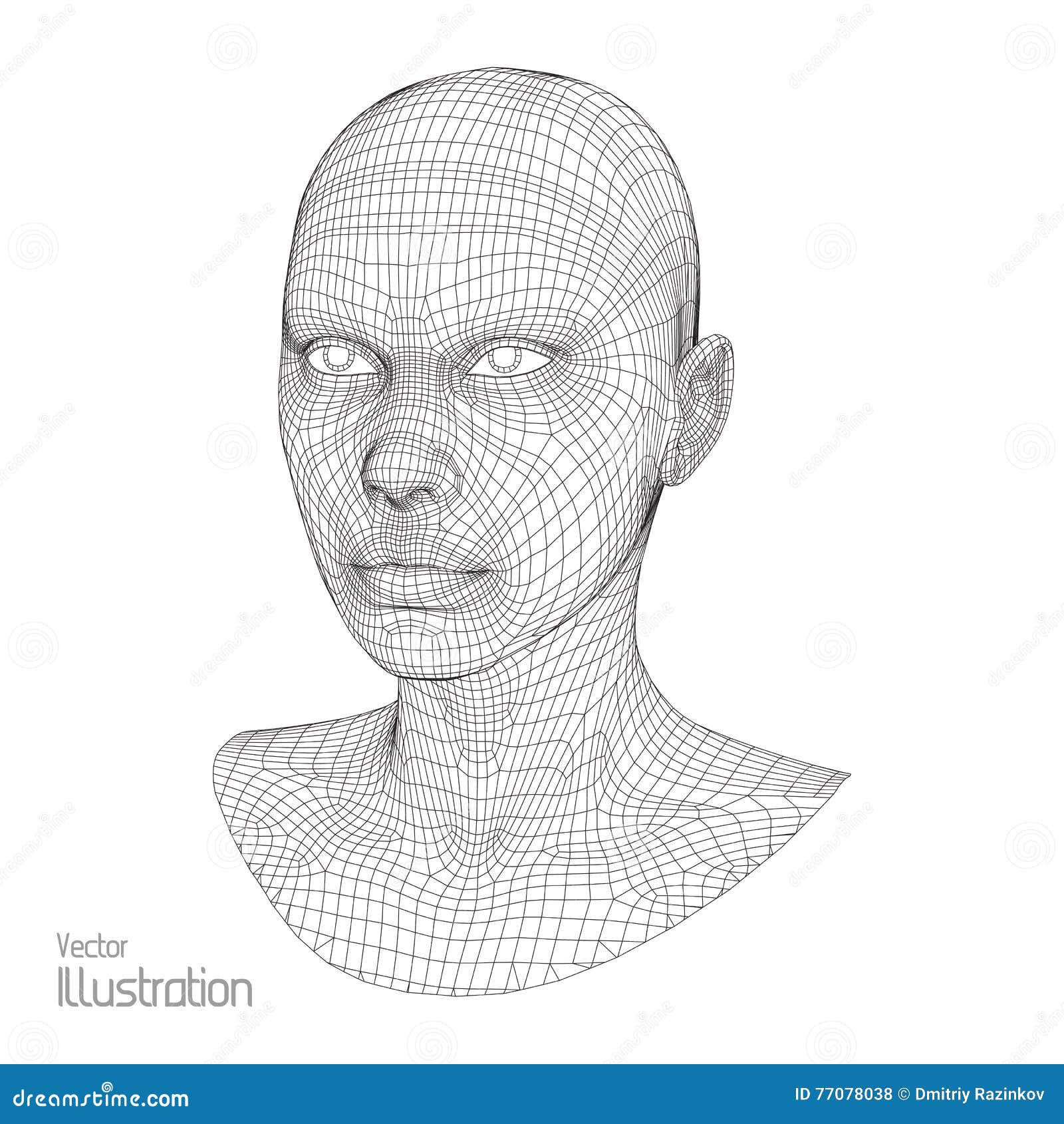 Head of the Person from a 3d Grid. Human Wire Model. Polygon . Face