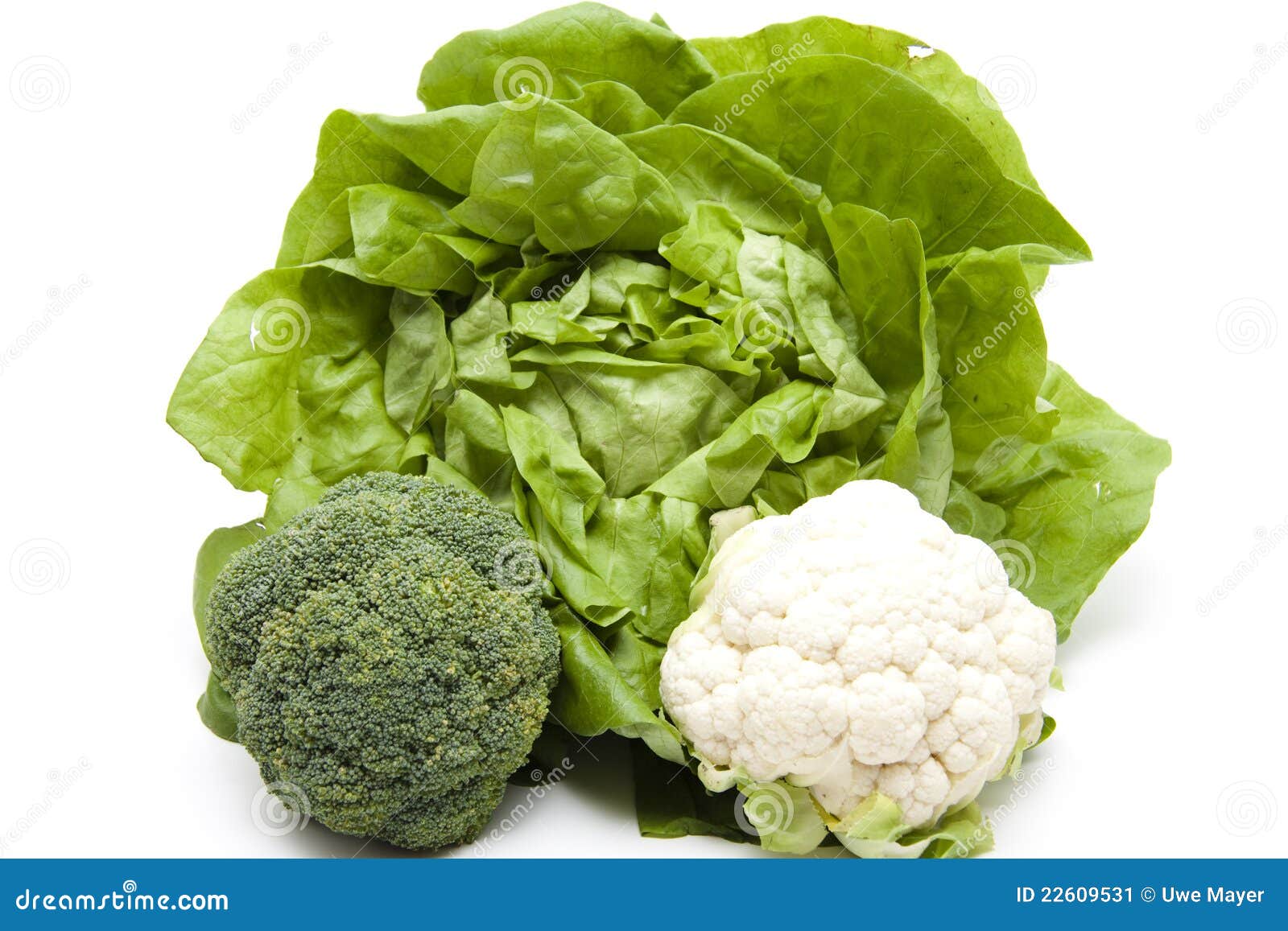 Head Salad with Broccoli and Cauliflower Stock Image Image of leaf