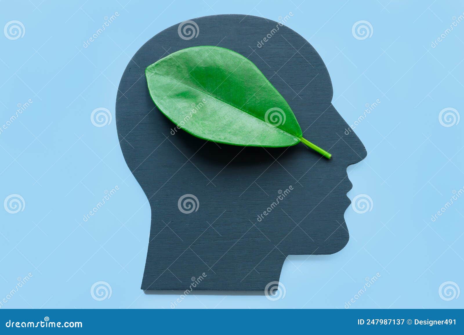 head  and green leaf. environmentalism concept.