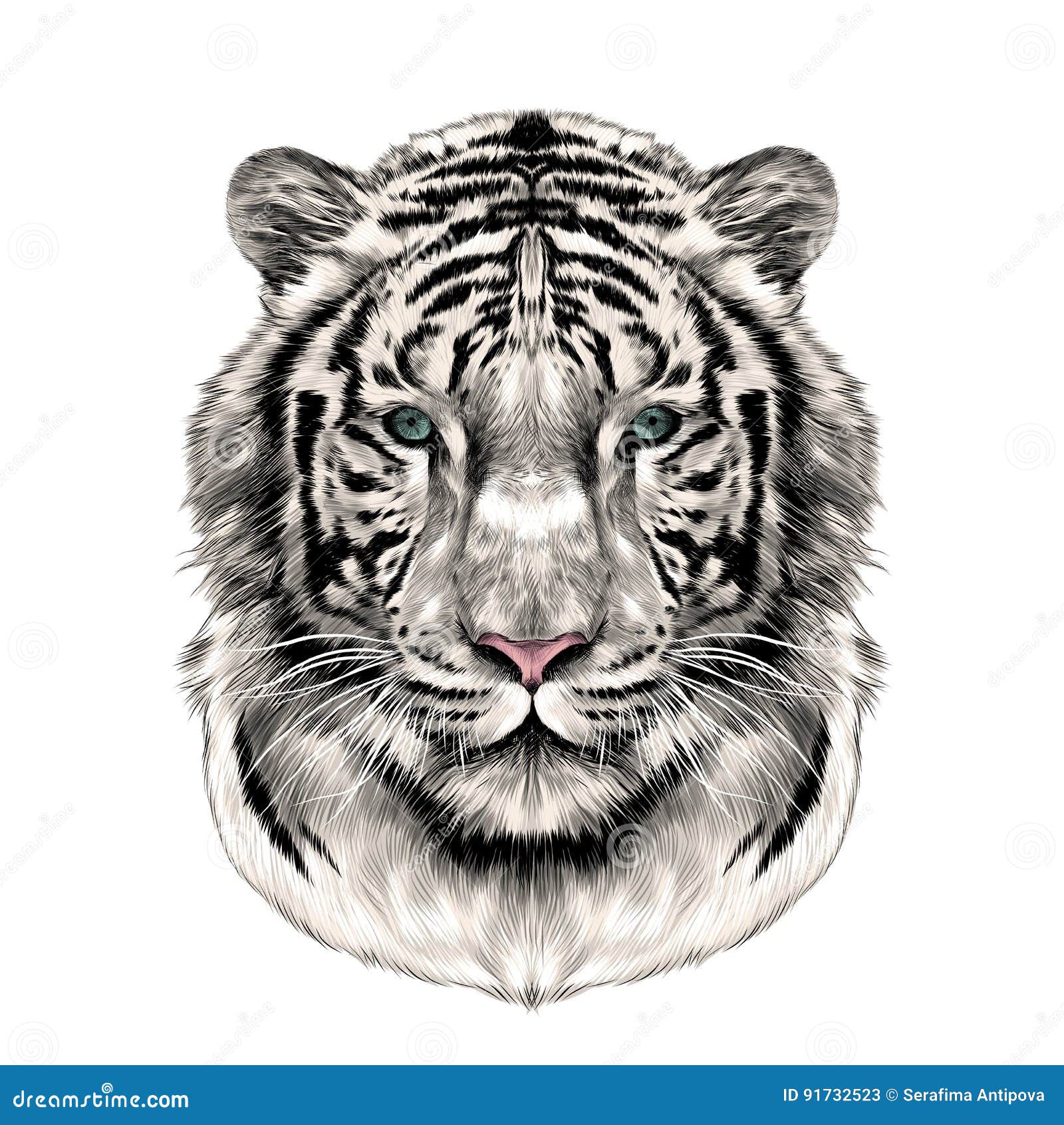 tiger head vector drawing tiger face drawing sketch tiger head colored  drawing vector graphics to design Stock Vector  Adobe Stock