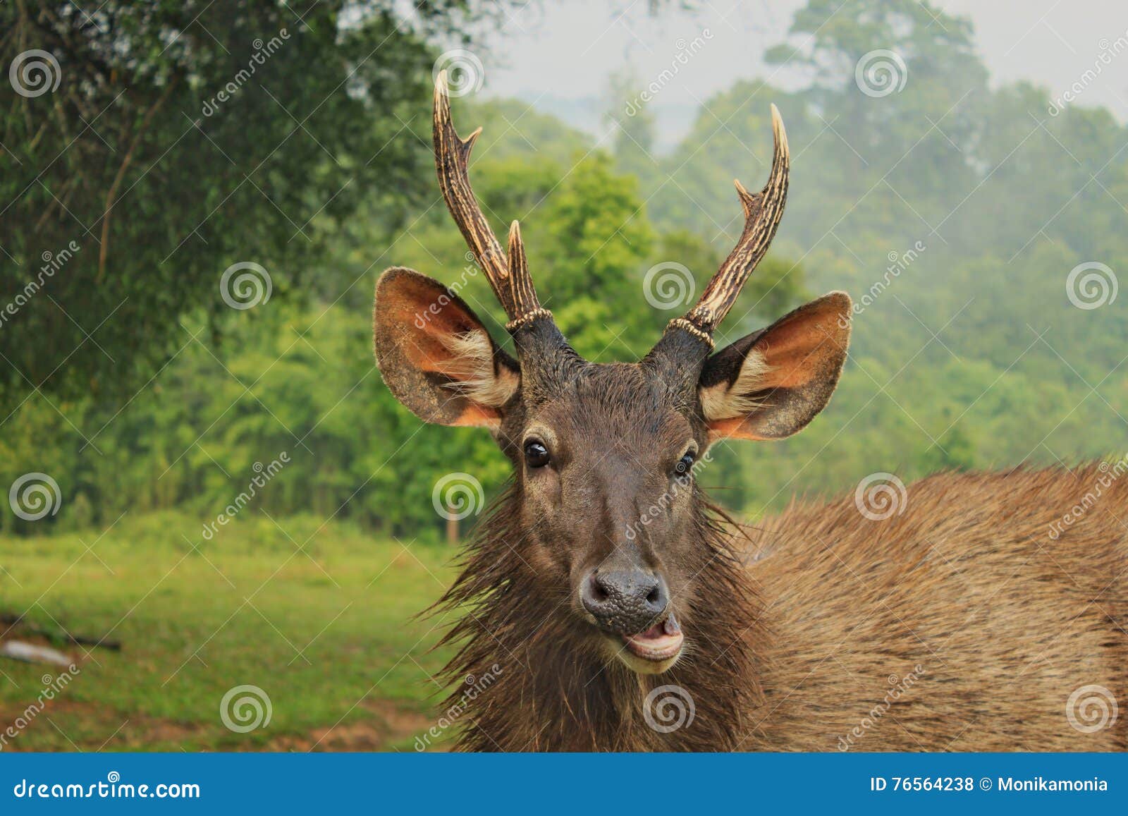 2,755 Dear Face Photos - Free & Royalty-Free Stock Photos from Dreamstime