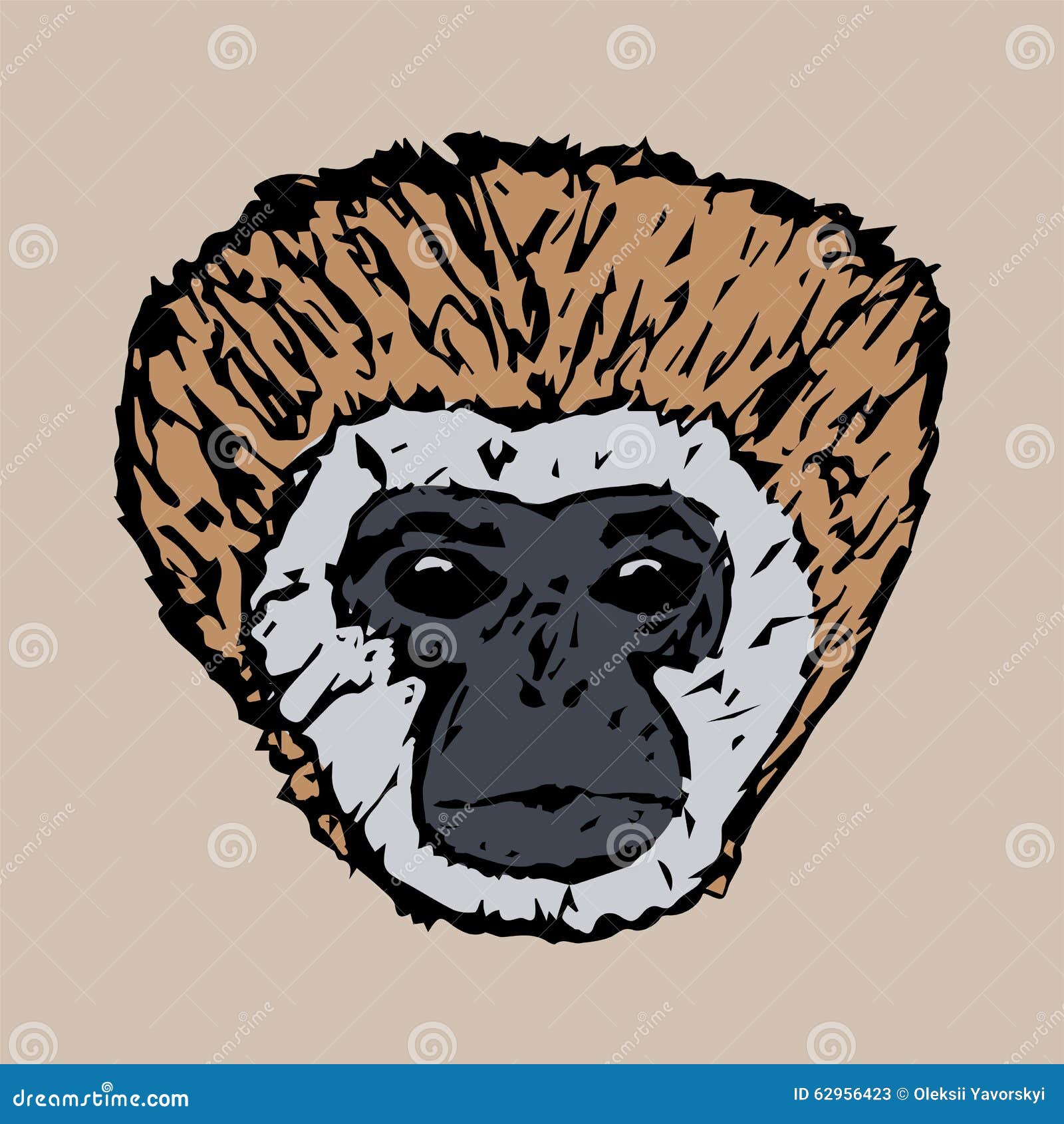 The Head Of A Young Python Stock Vector Illustration Of Monkey