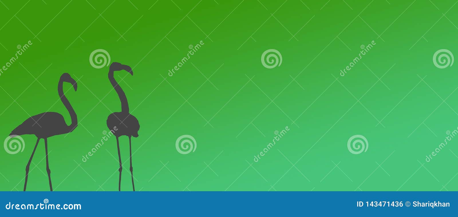 header background birds greater flamingo pair standing at side
