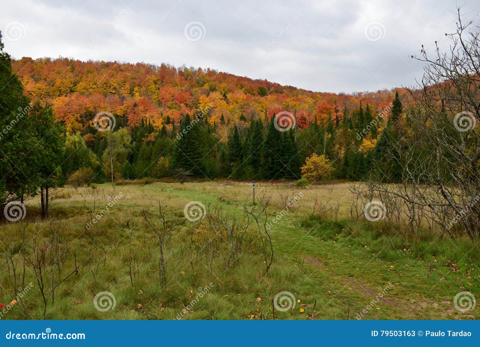 Heading Towards The Bruce Trail On The Niagara Escarpment Stock Image Image Of Bruce Entire Heading Towards The Bruce Trail On The Niagara Escarpment Stock Image Image Of Bruce Entire