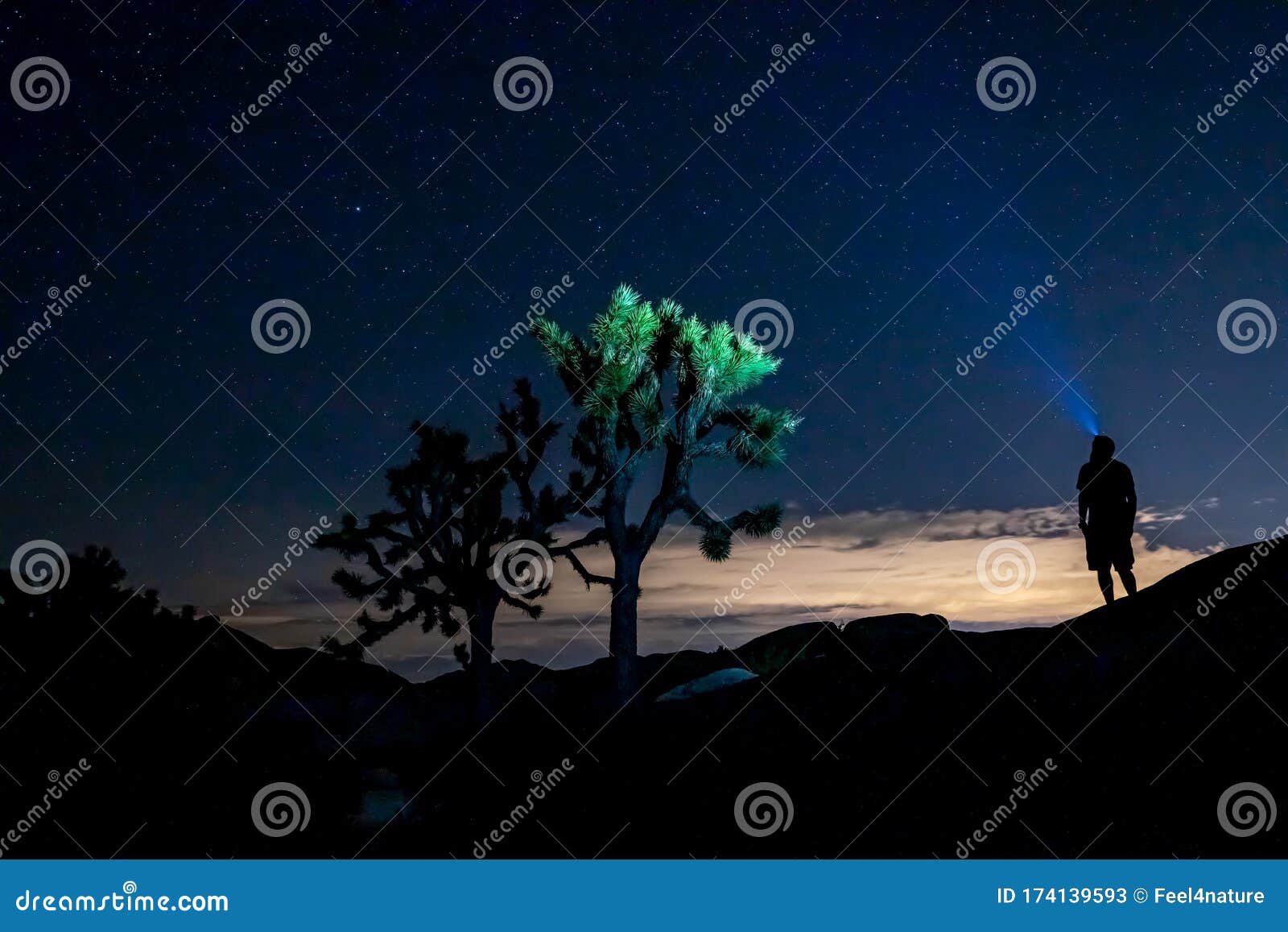 man with headlamp in joshua tree national park