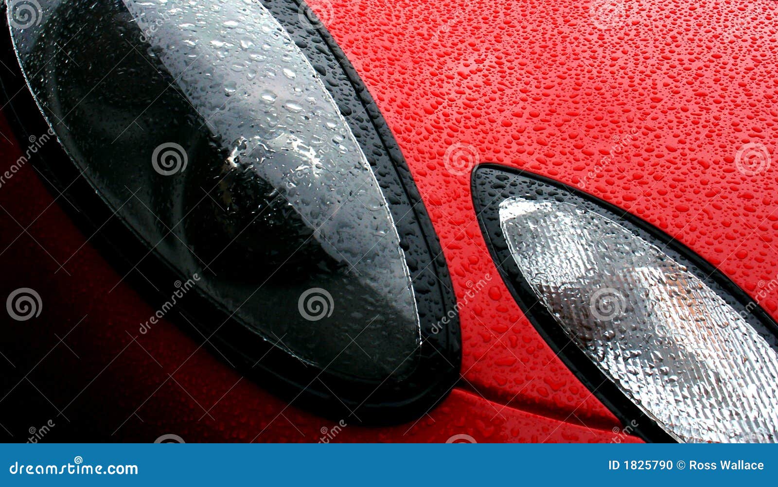 Headlight of a Freshly Waxed Sports Car Stock Photo Image of raindrop