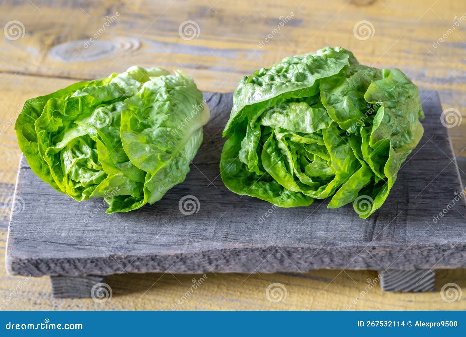 Heads of Romaine lettuce stock photo. Image of rustuc 267532114