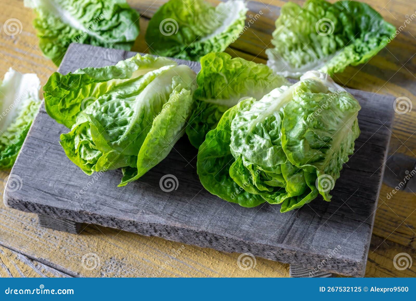 Heads of Romaine lettuce stock image. Image of lettuce 267532125