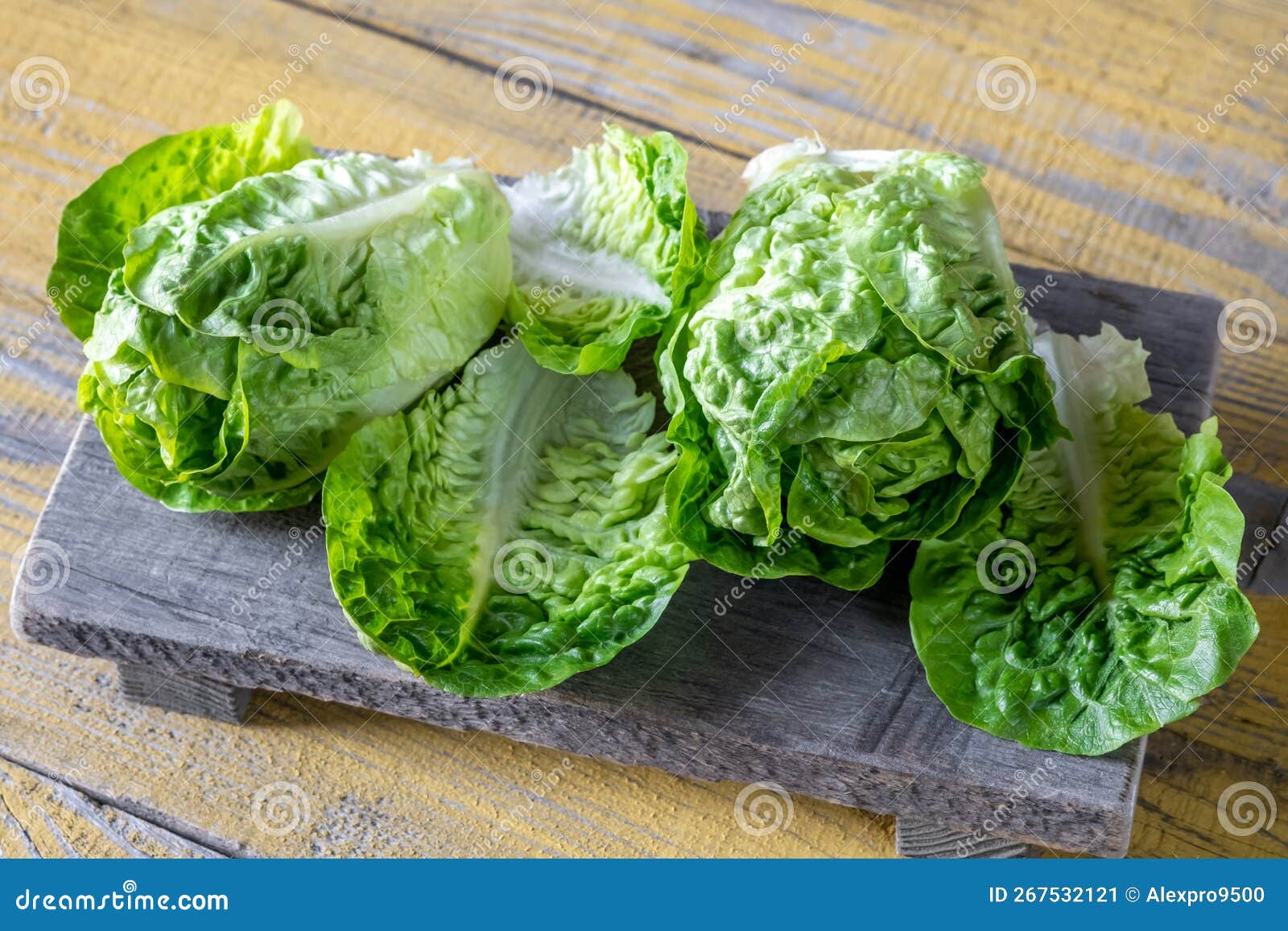 Heads of Romaine lettuce stock image. Image of dark 267532121