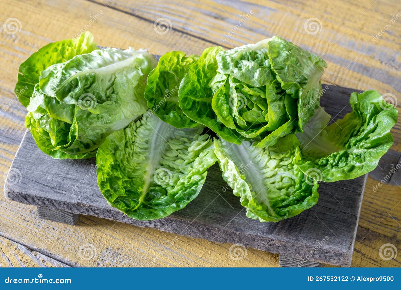 Heads of Romaine lettuce stock photo. Image of leaf 267532122