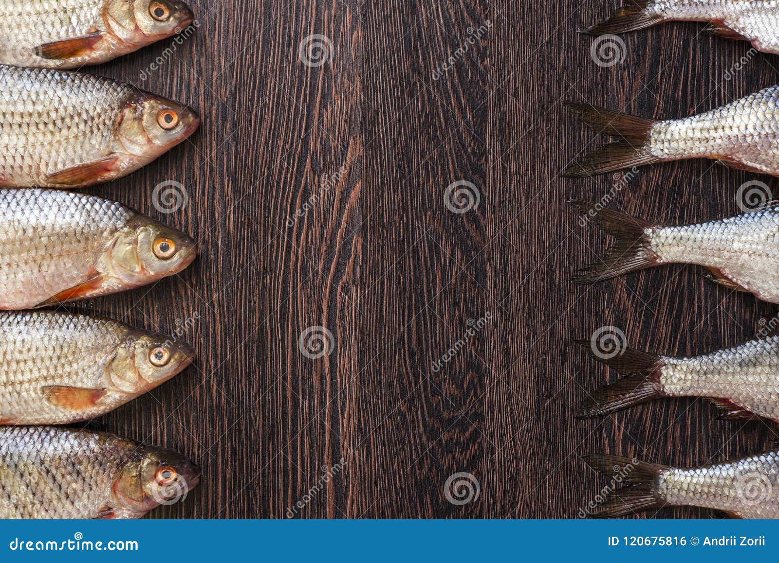 Heads and Tails of Fish on a Wooden Table Stock Photo Image of