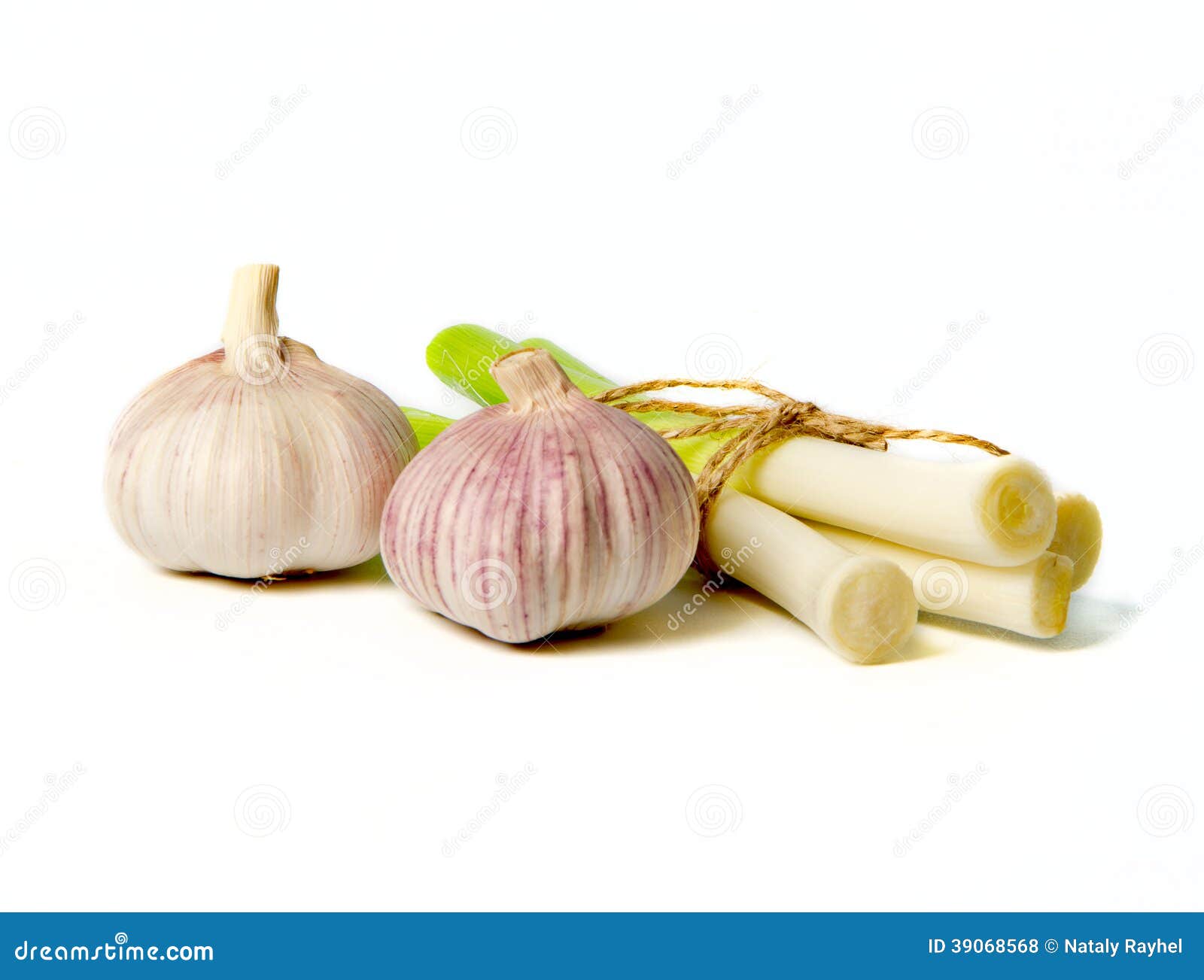 Heads and Young Stems of Garlic Stock Photo Image of ingredient, full