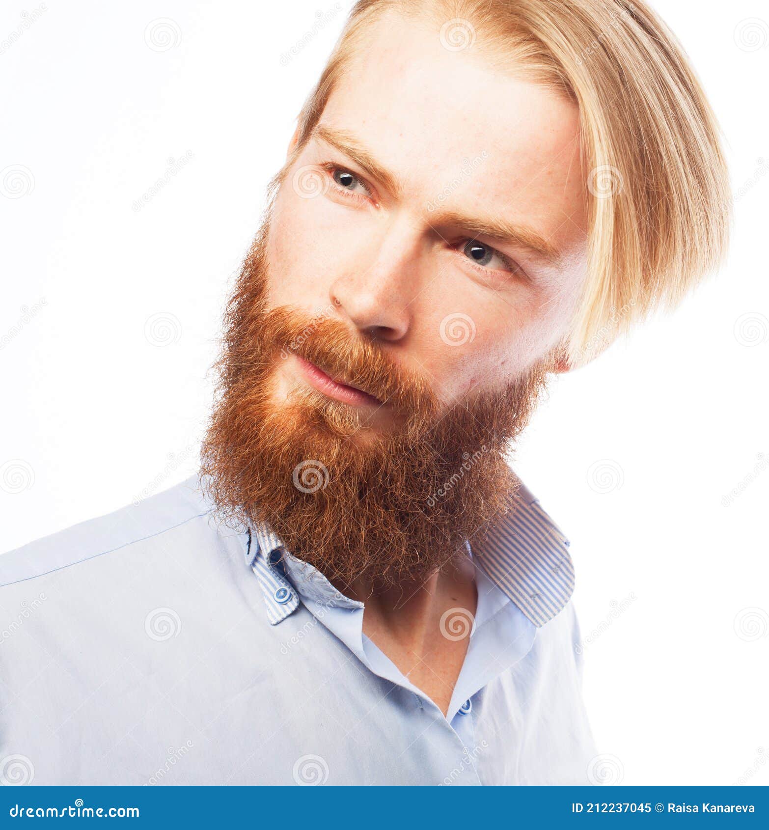 Headshot of Attractive Serious Caucasian Male with Thick Ginger Beard ...