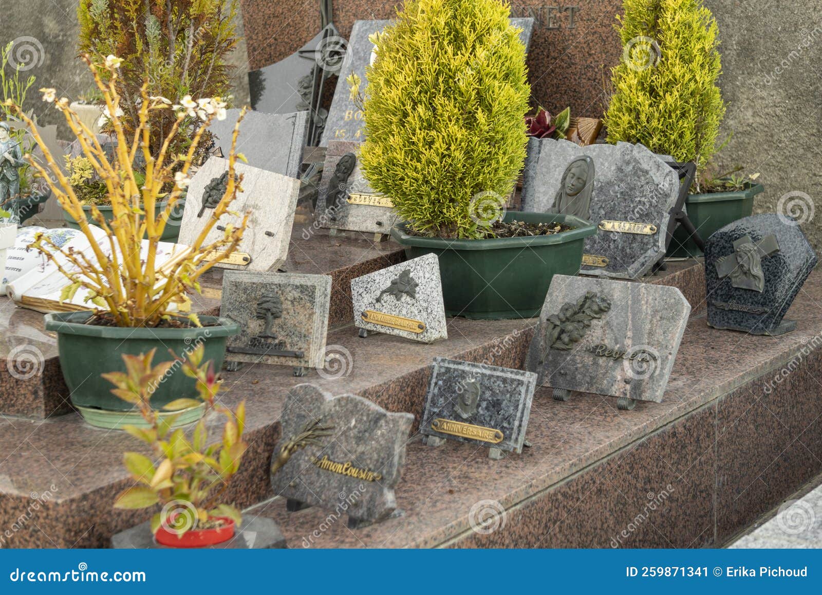Headstone Adorned with Memorial Plaques and Plants Stock Image Image