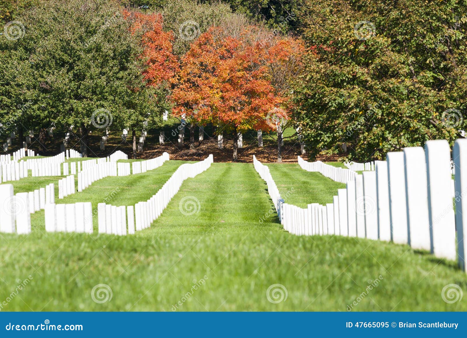 Headstone Rows at Arlington National Cemetery, Stock Image Image of