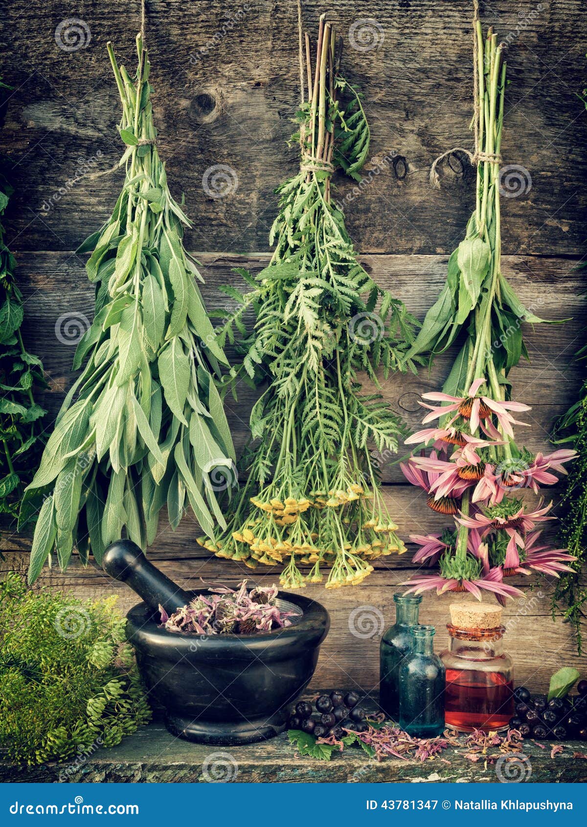 healing herbs, herbal medicine