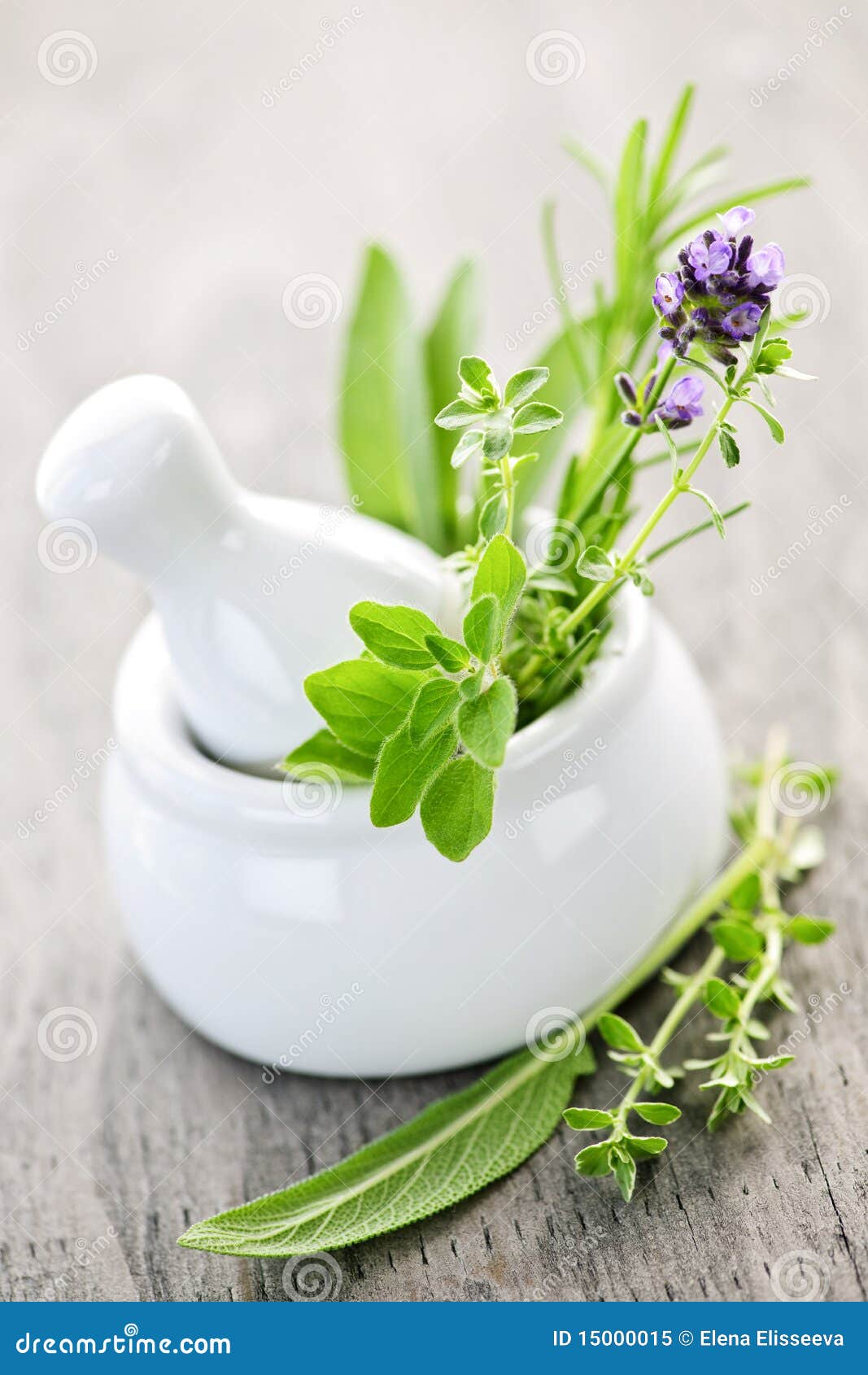 Cooking crush download game