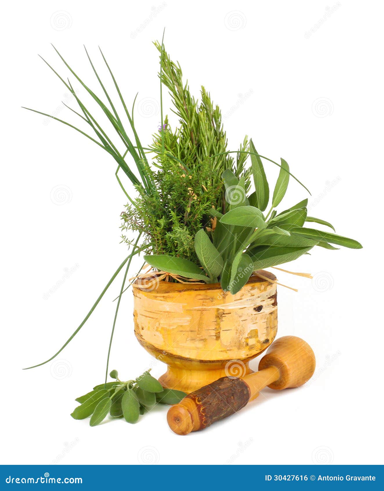 Healing Herbs with Mortar and Pestle Stock Photo Image of healing