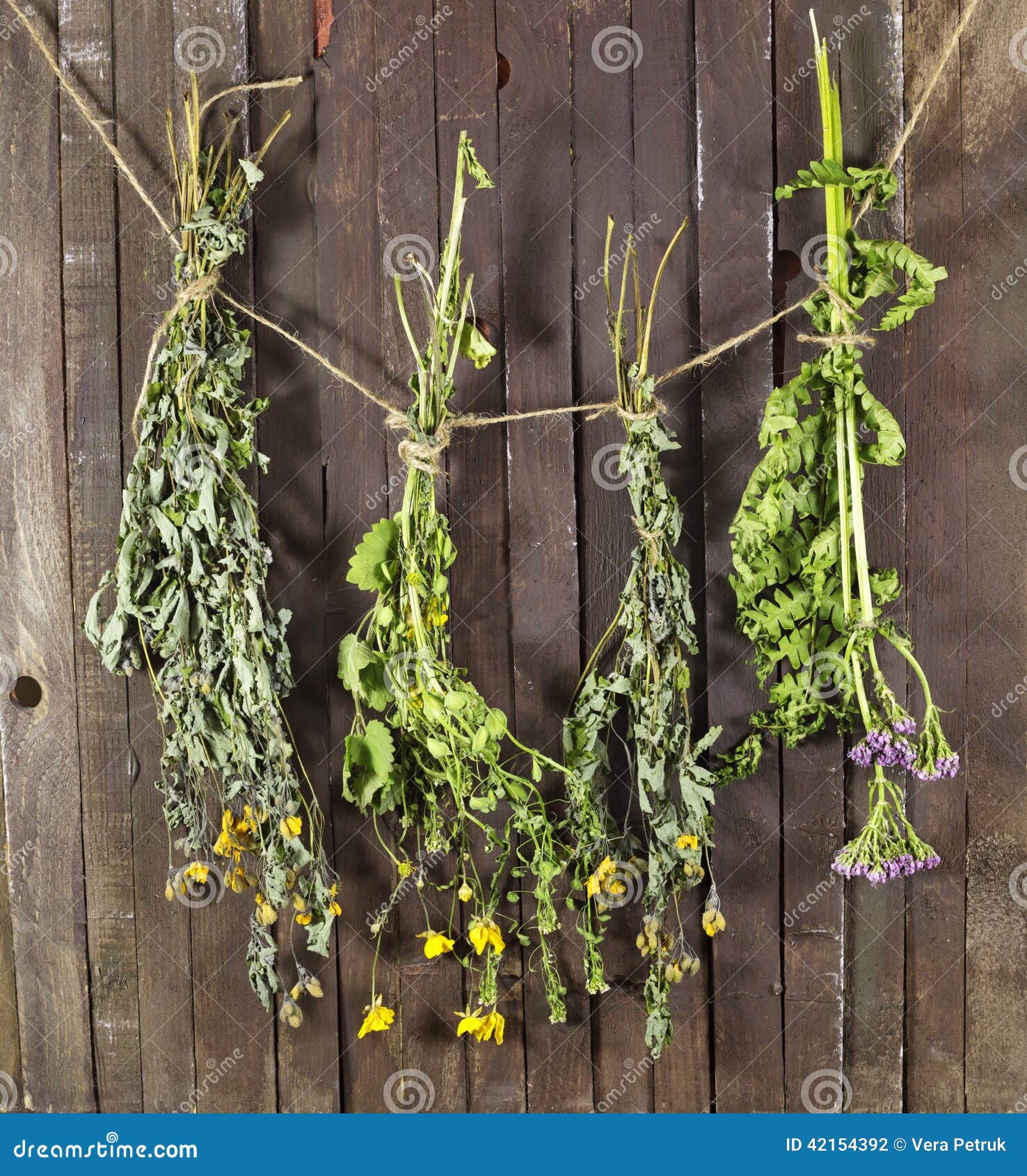 Still Life Dry Herbs Crystal Ball Stock Photo 1570887175