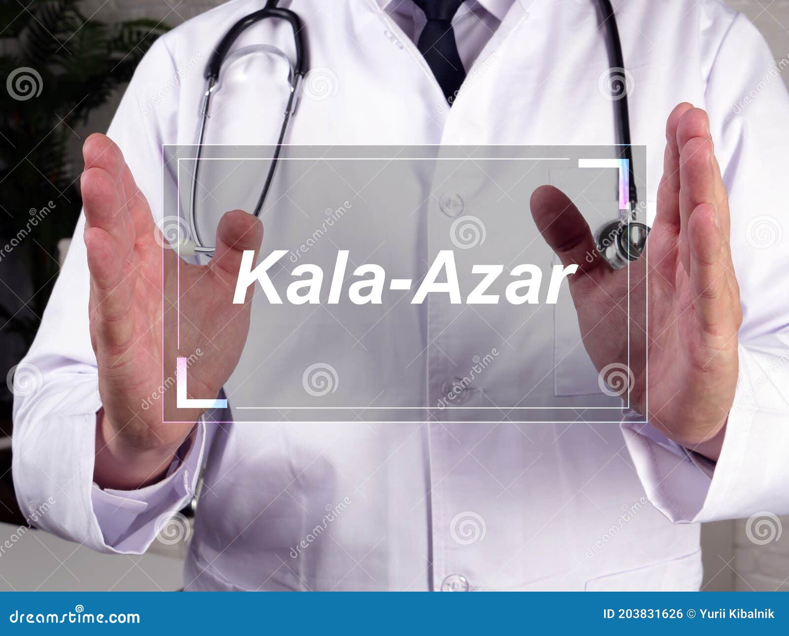 health care concept about kala-azar  with inscription on the page