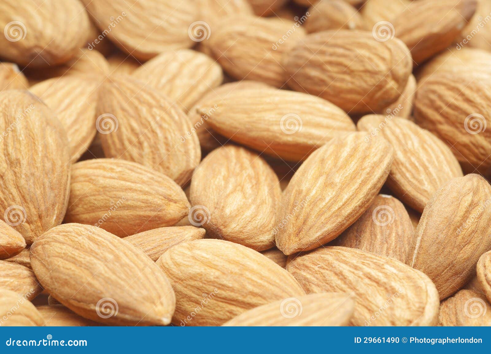 Healthy Almonds stock photo. Image of food, pattern, still 29661490