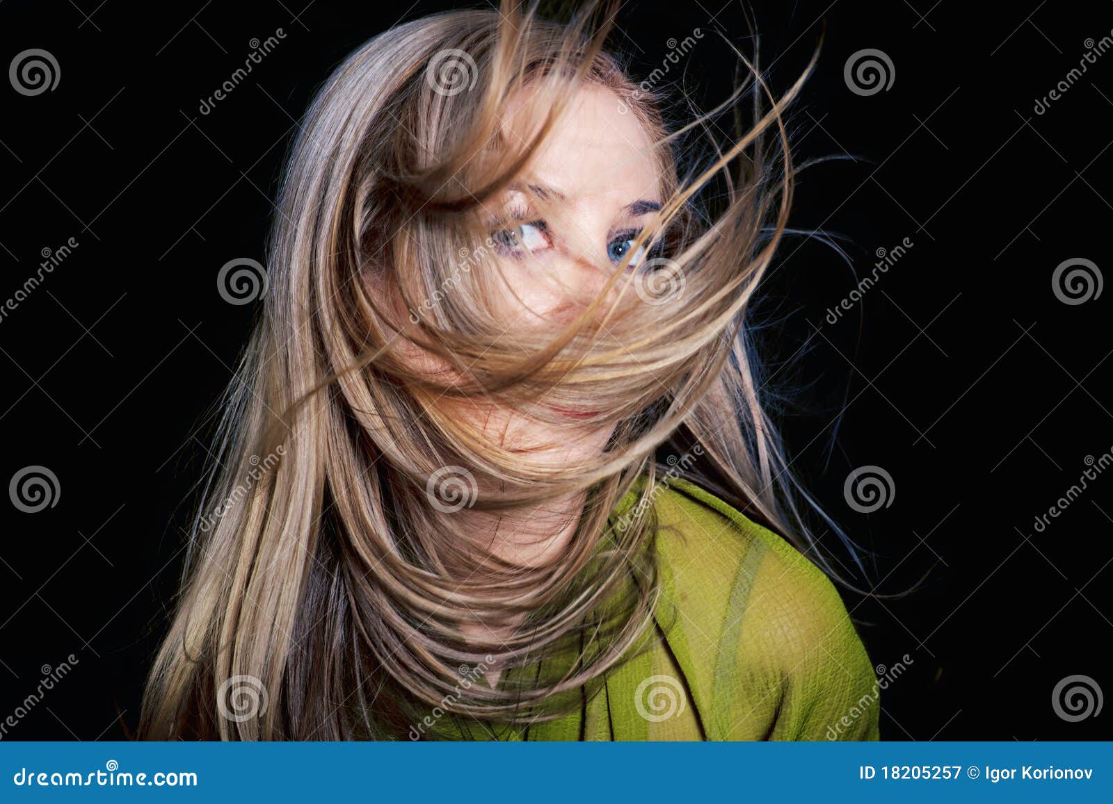 Healthy Beautiful Long Hair in Motion Stock Image Image of adult, brown 18205257