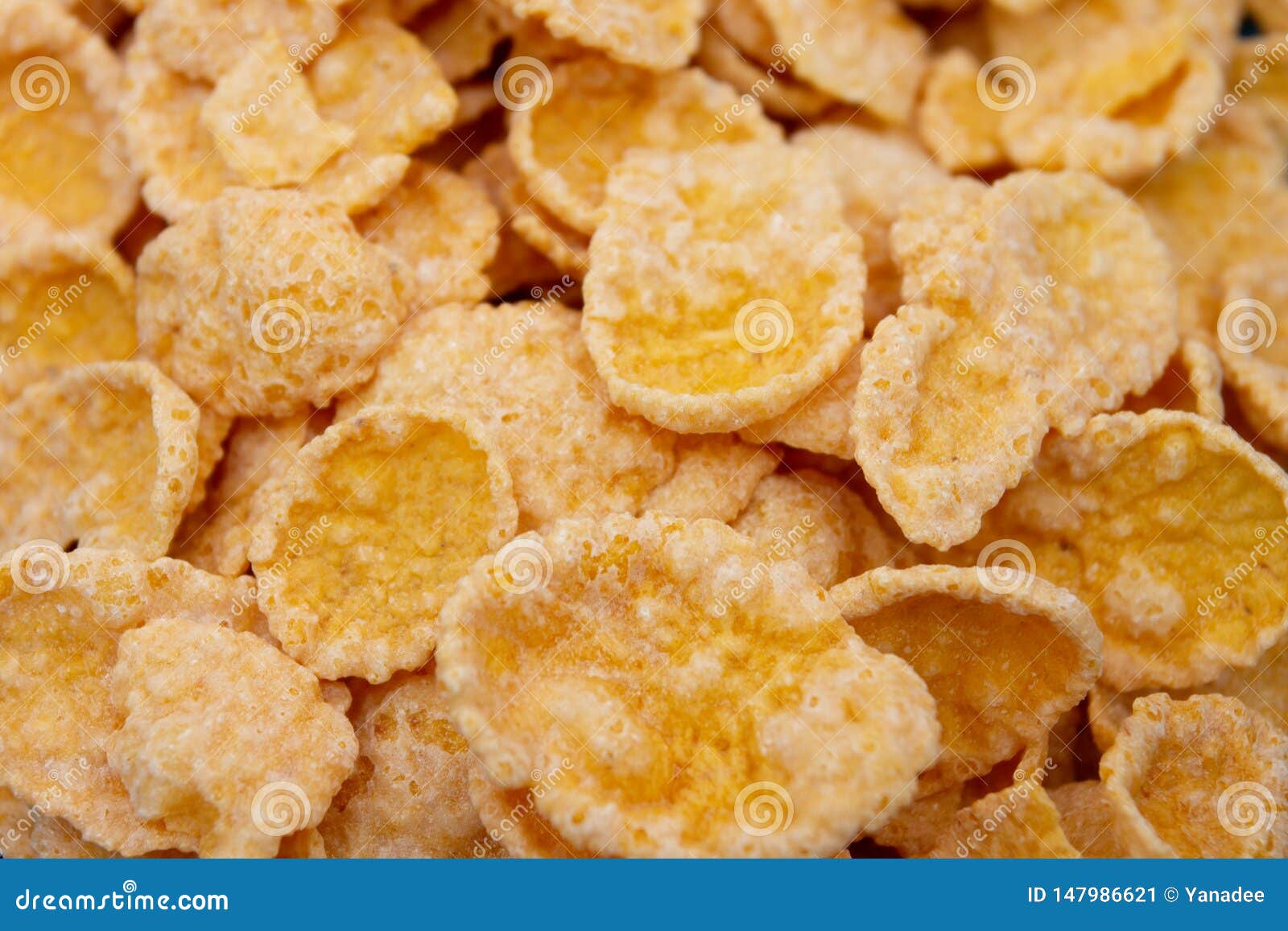 Healthy Breakfast. Cornflakes Stock Image Image of sweet, tasty