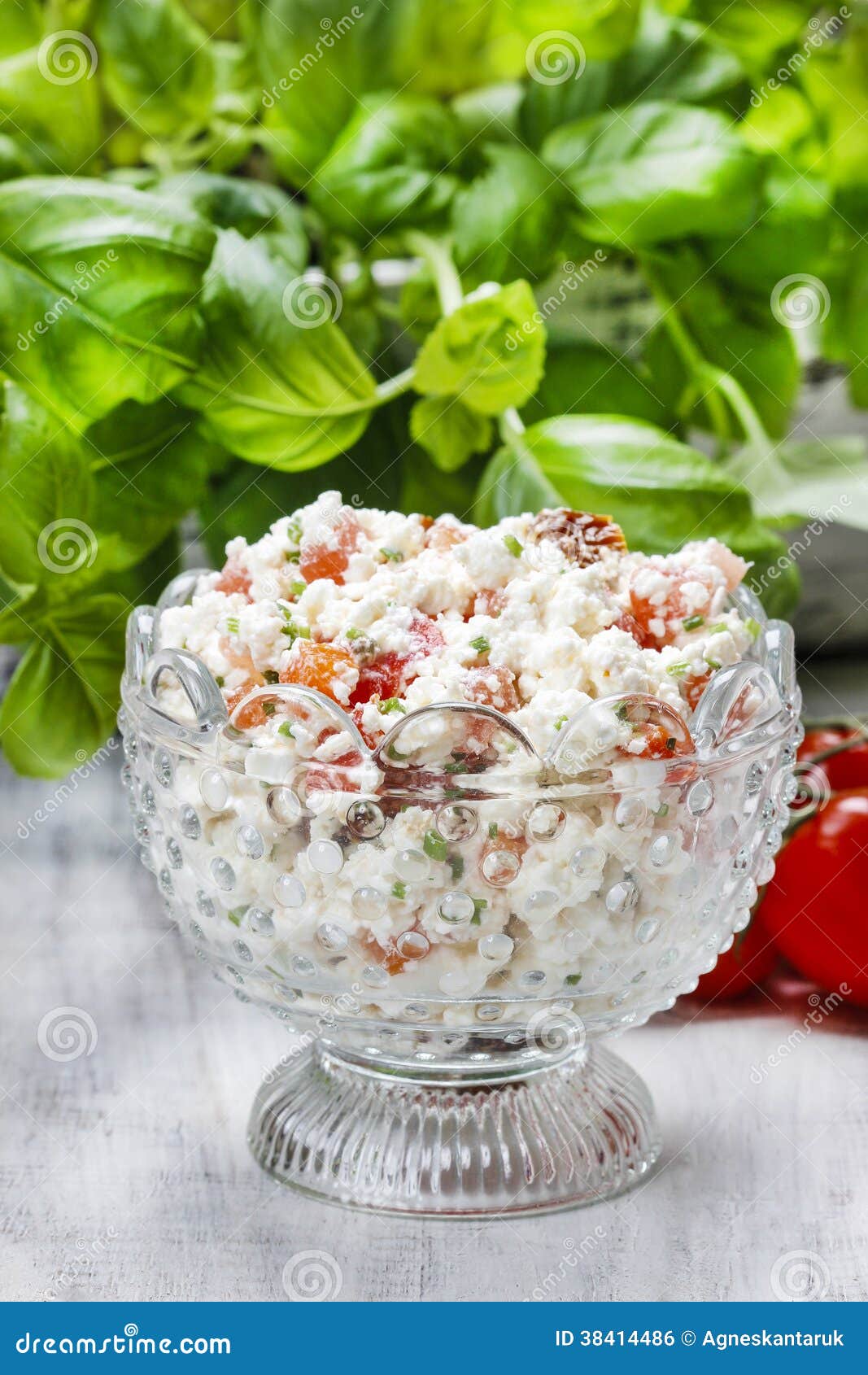 Healthy Breakfast Cottage Cheese with Tomatoes and Herbs Stock Photo