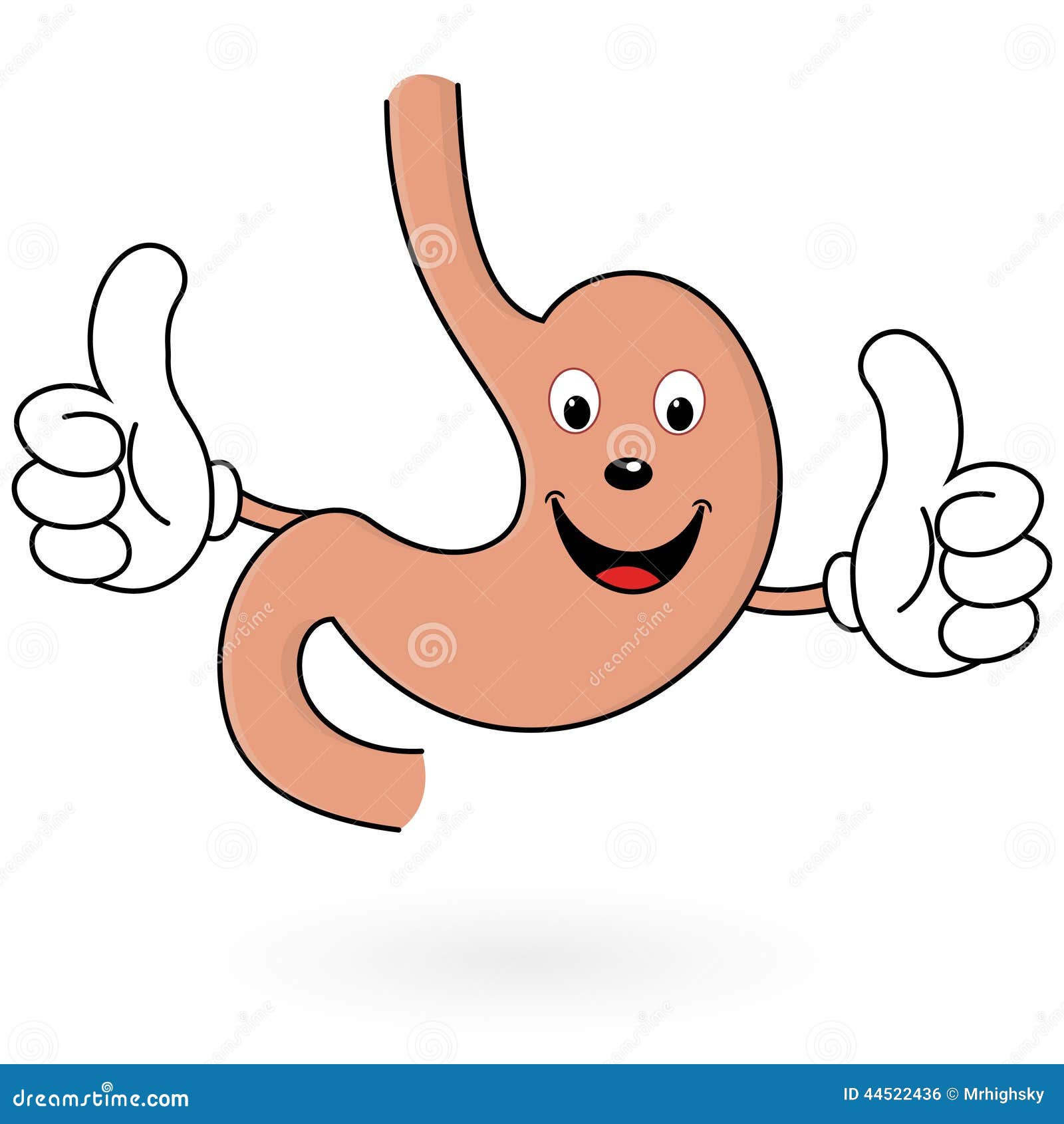 human stomach clipart - photo #33