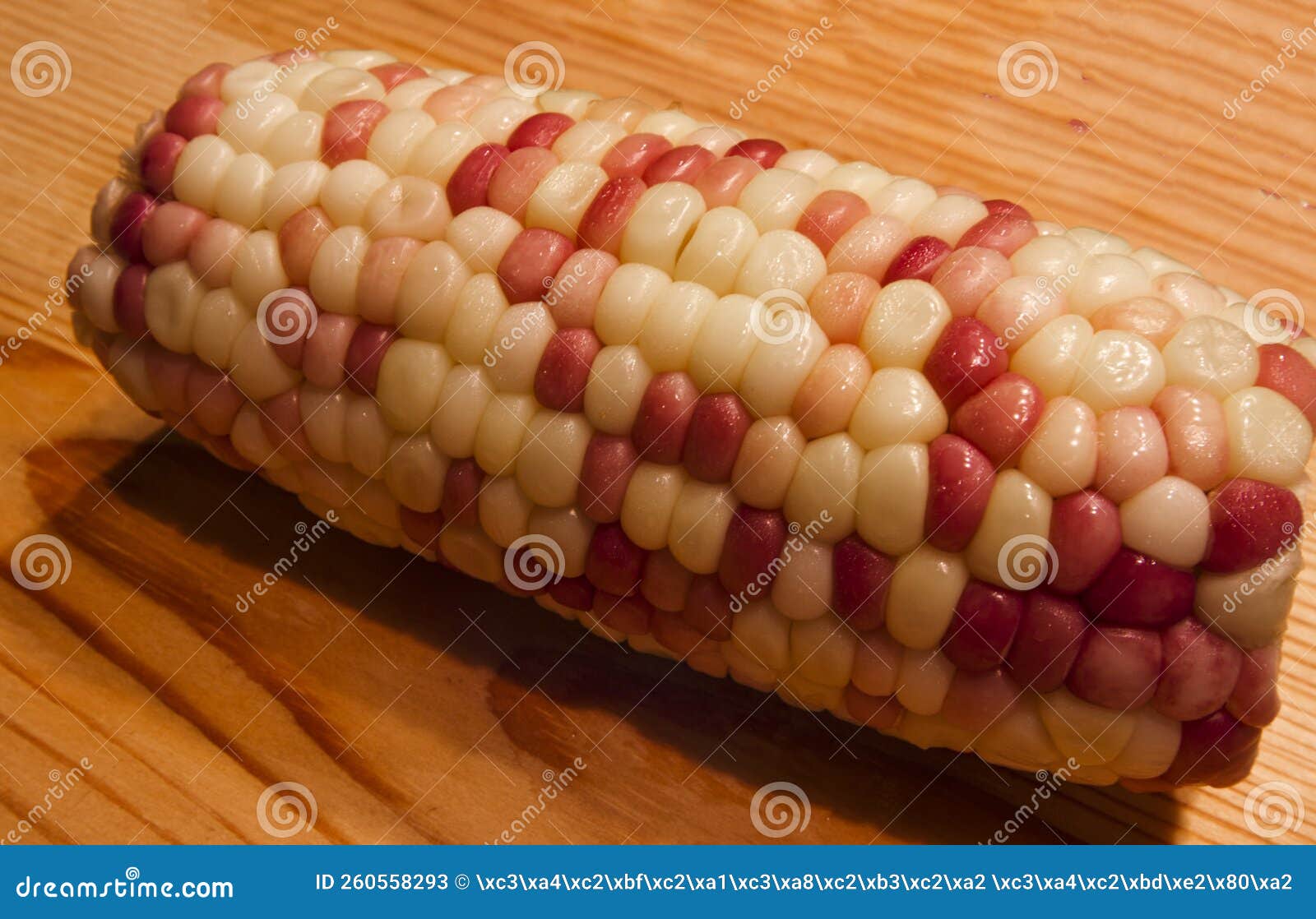 Healthy and Colorful Vegetable Waxy Corns Stock Image Image of