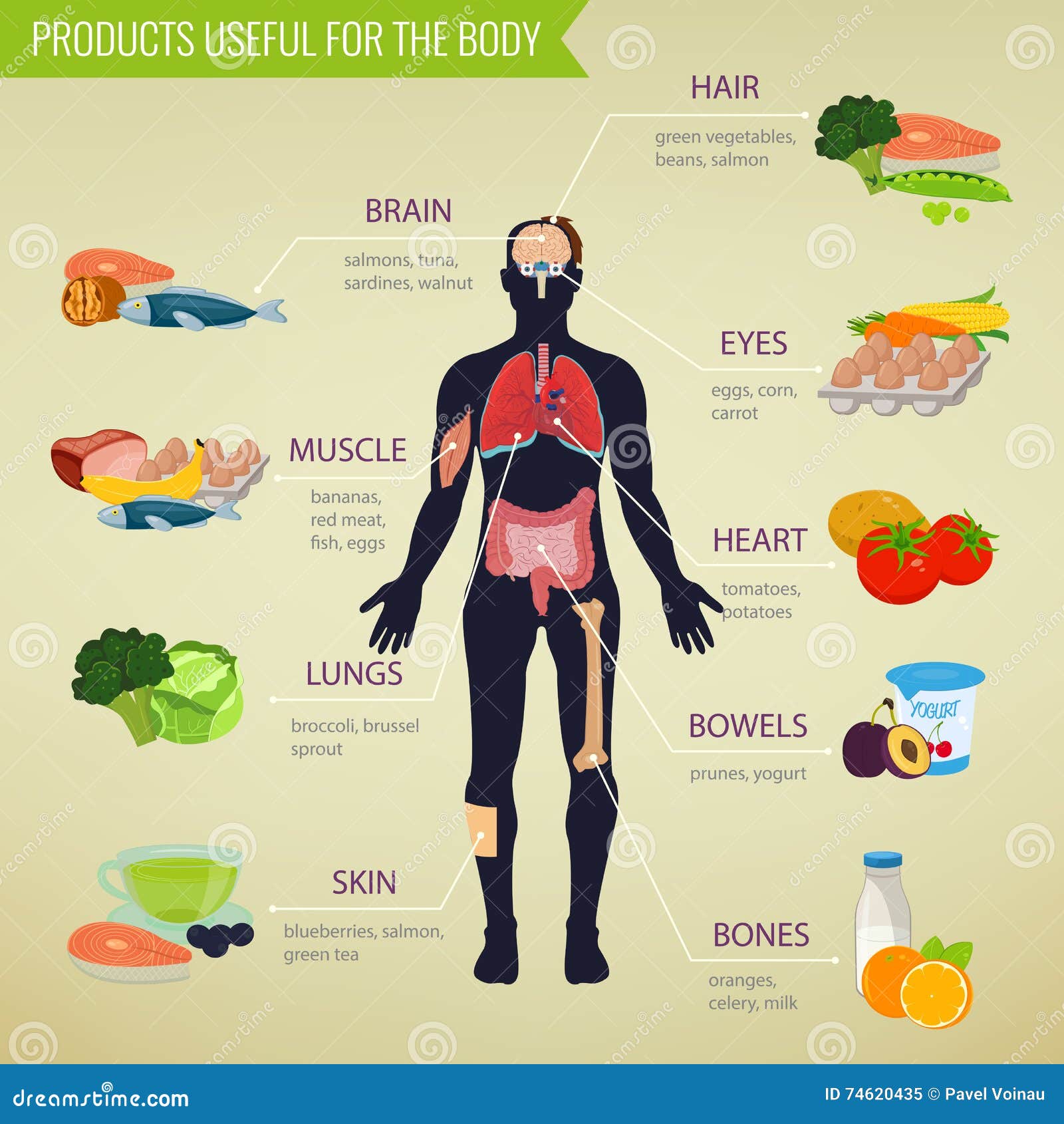 Healthy Food for Human Body. Healthy Eating Infographic. Food and Drink  Stock Vector - Illustration of dinner, icons: 74620435