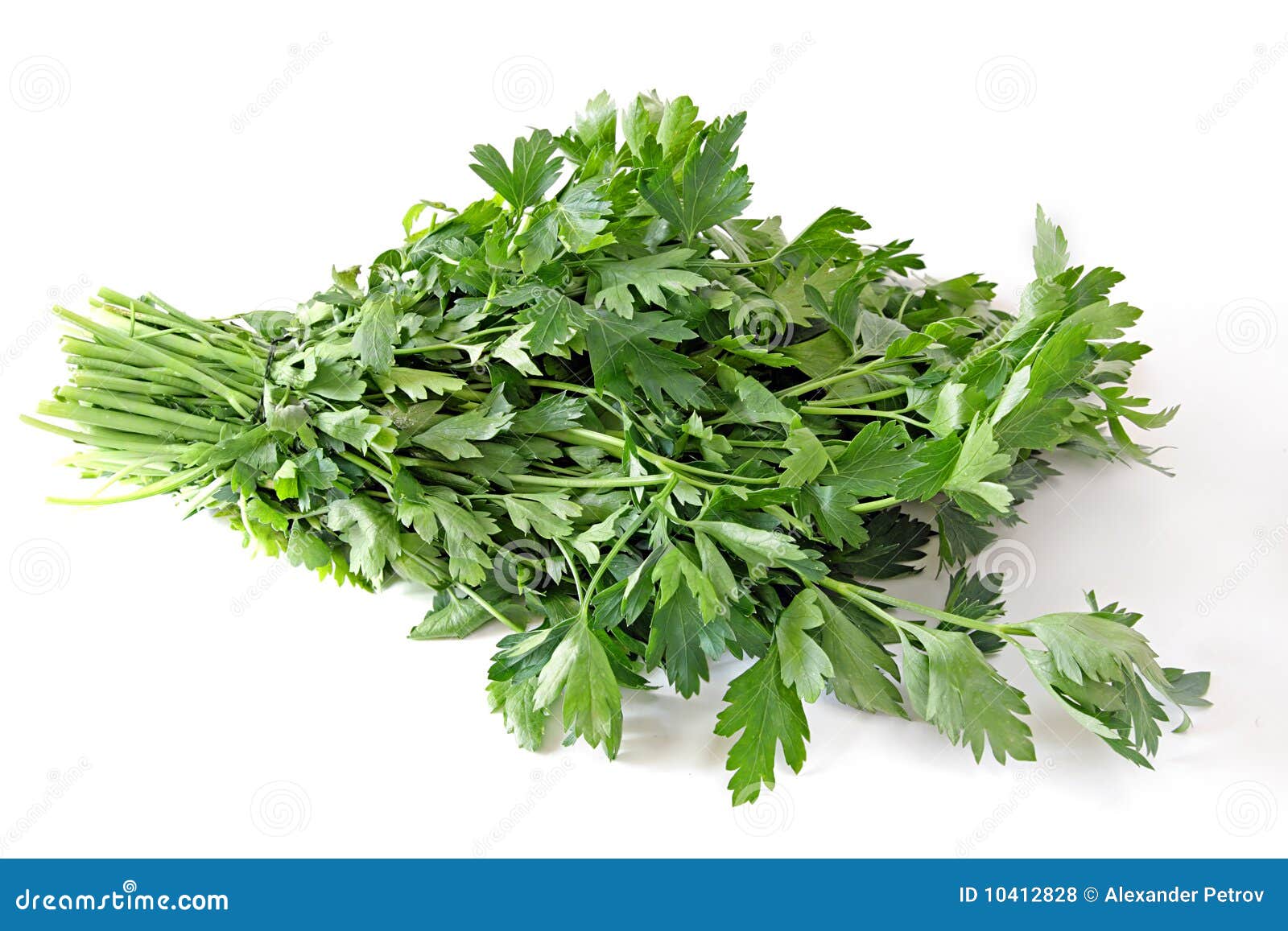 Healthy food. Parsley stock photo. Image of natural, parsley 10412828