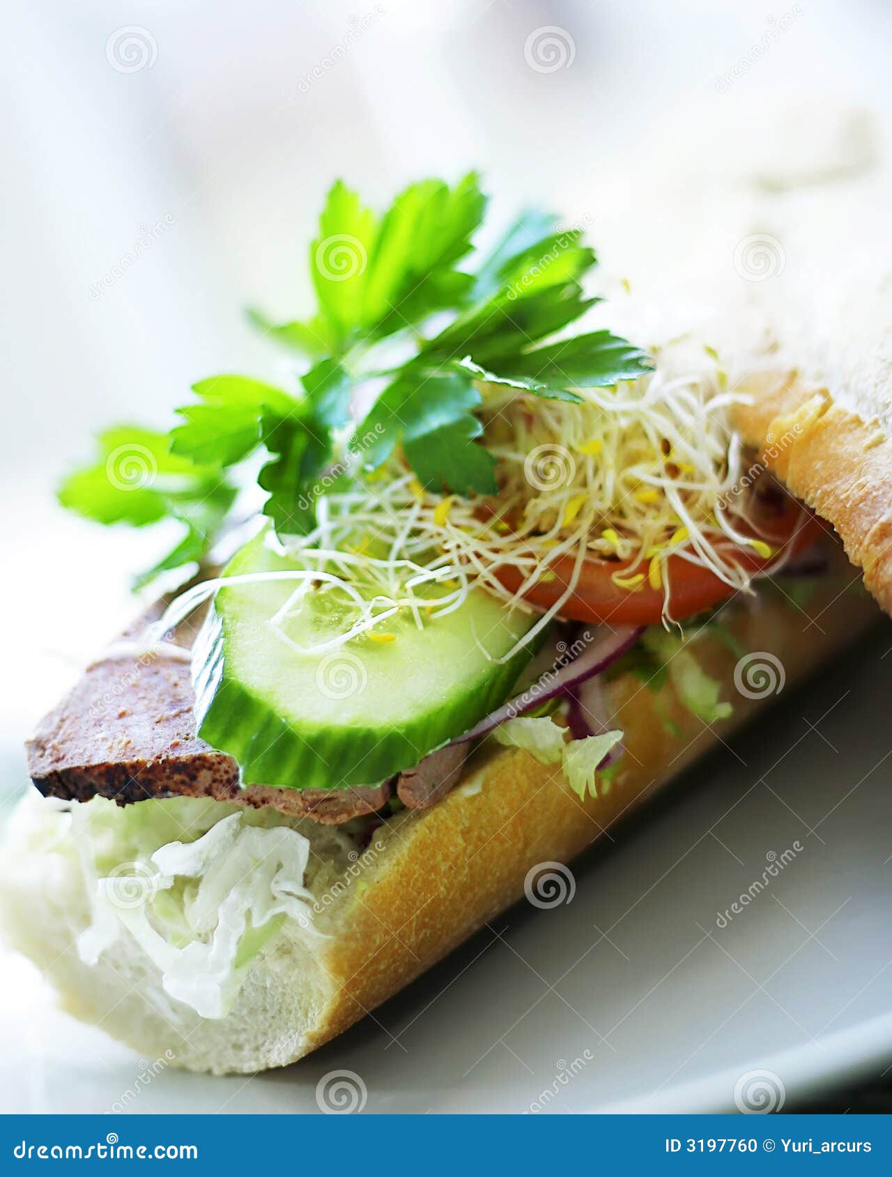 Healthy, gourmet Sandwich stock photo. Image of macro 3197760