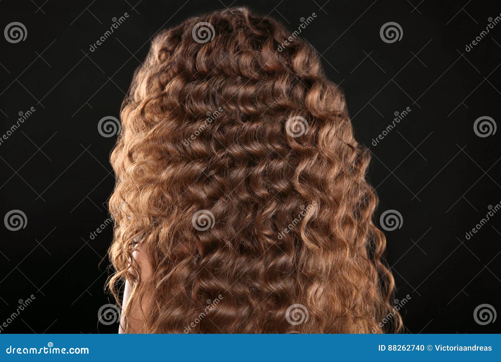 Healthy Hair Curly Long Hairstyle Back View Of Brown Hairs Ha Stock