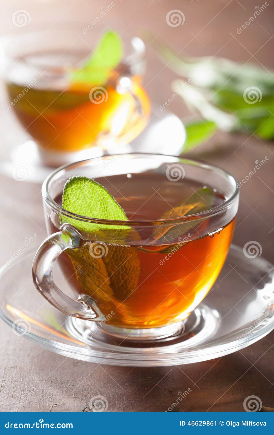 Healthy Herbal Tea with Sage Leaf Stock Image Image of saucer
