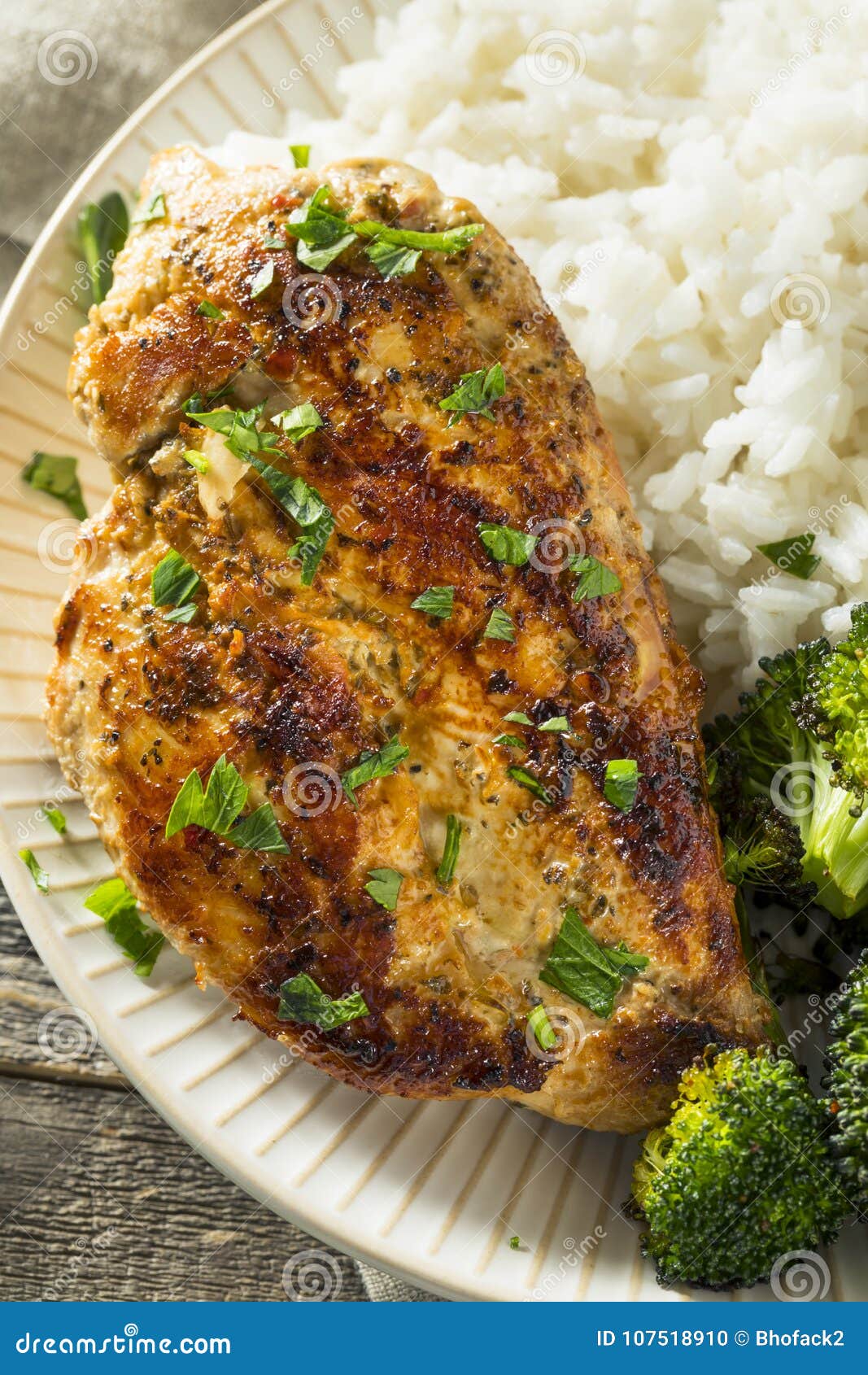 Healthy Homemade Chicken Breast and Rice Stock Photo - Image of